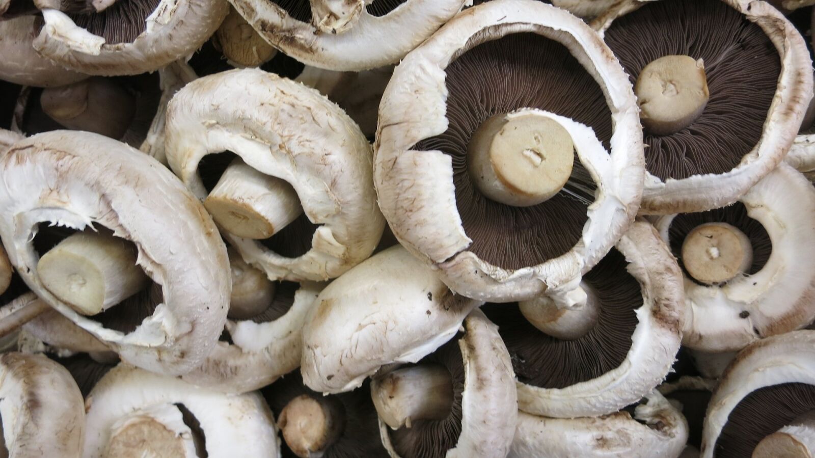 Canon PowerShot S110 sample photo. Mushrooms, button, fresh photography