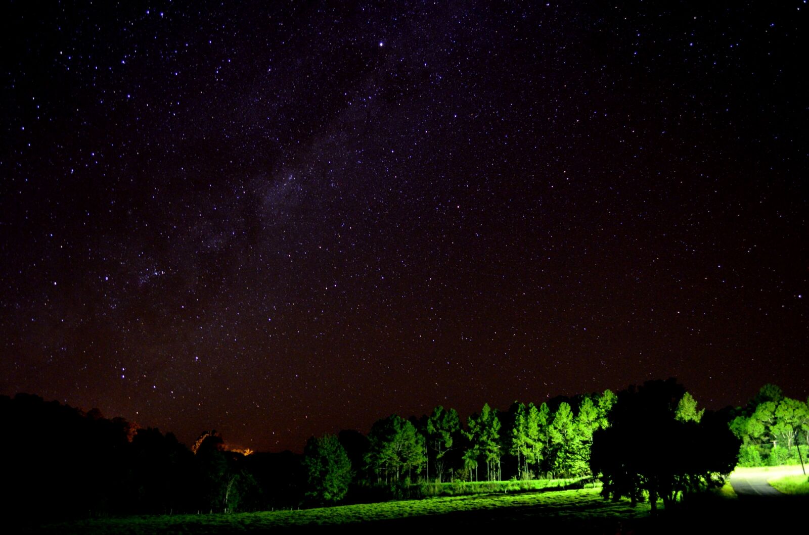 Nikon D5100 sample photo
