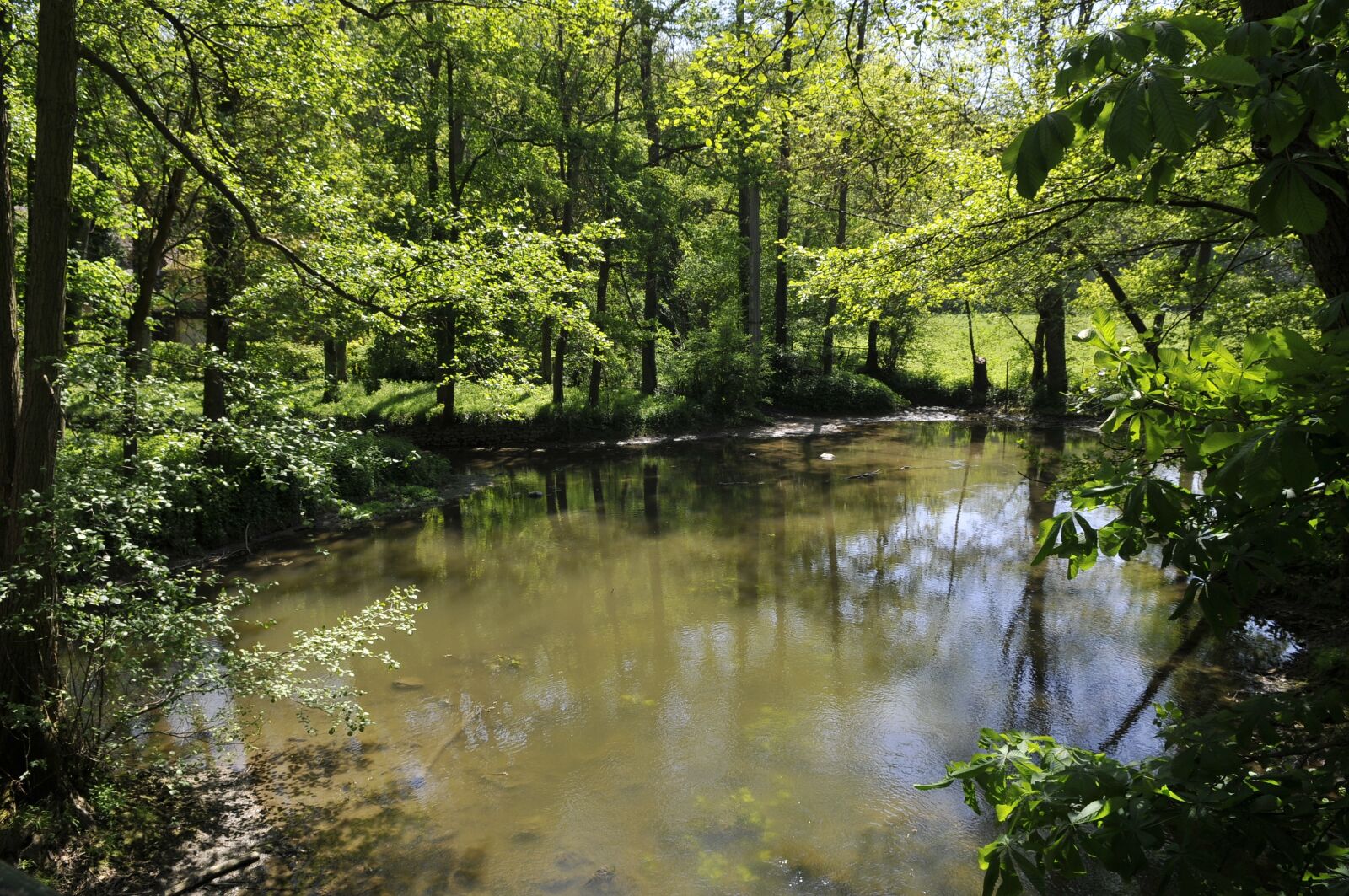 Nikon D300 sample photo. Water's edge, river, yerres photography