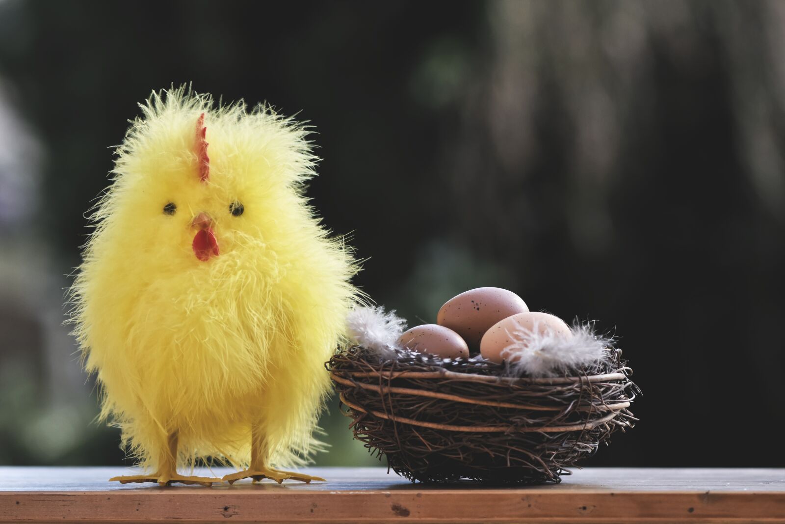 Nikon D7200 sample photo. Chicken, chicks, easter photography