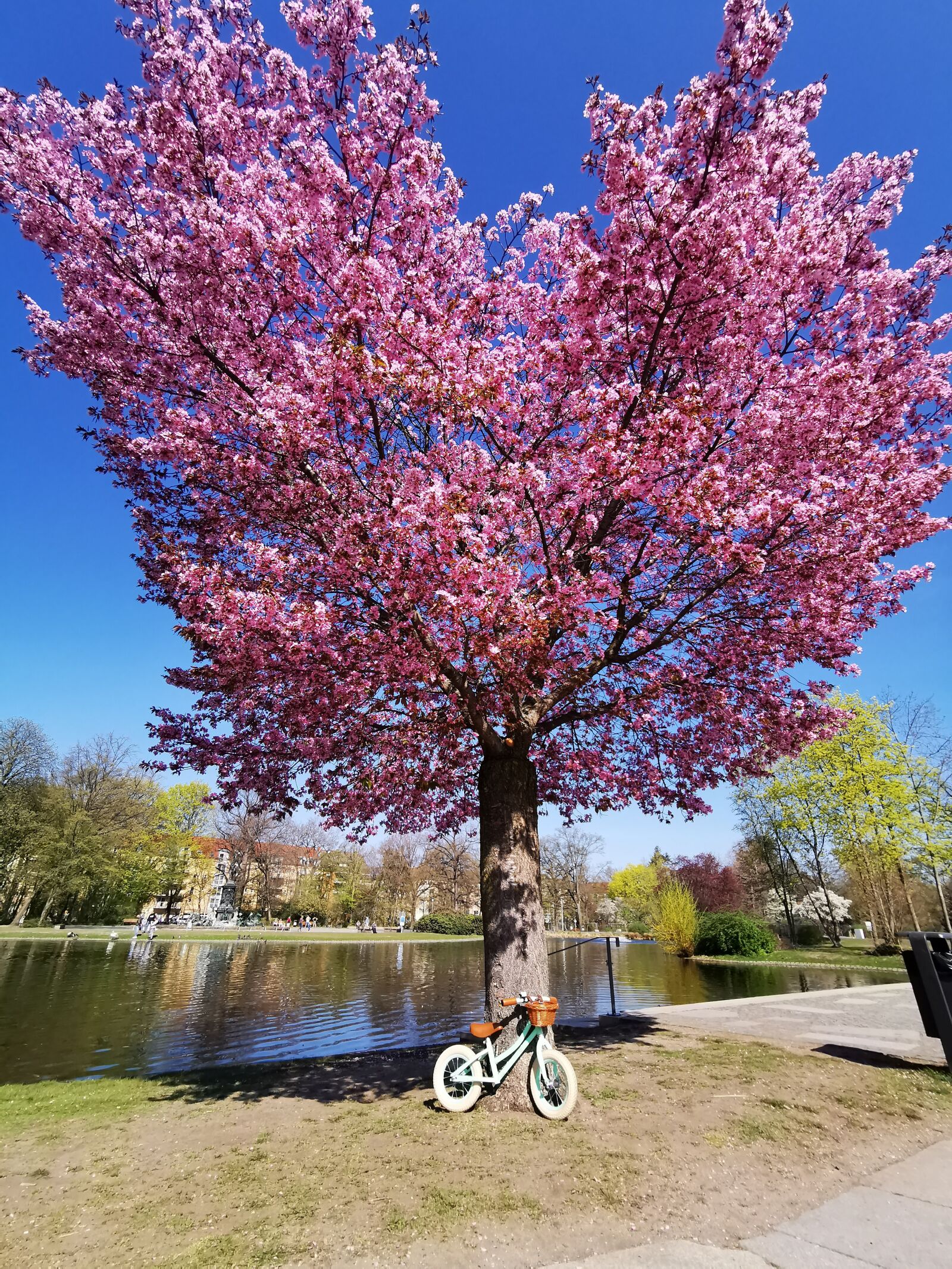 HUAWEI P30 Pro sample photo. Spring, easter, park photography