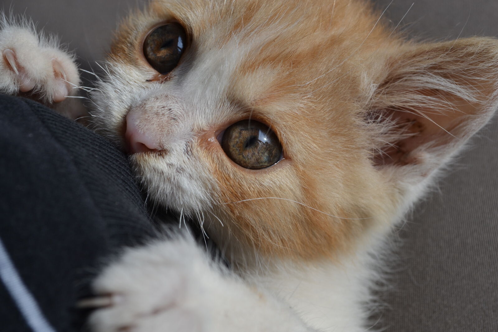 Nikon D3100 sample photo
