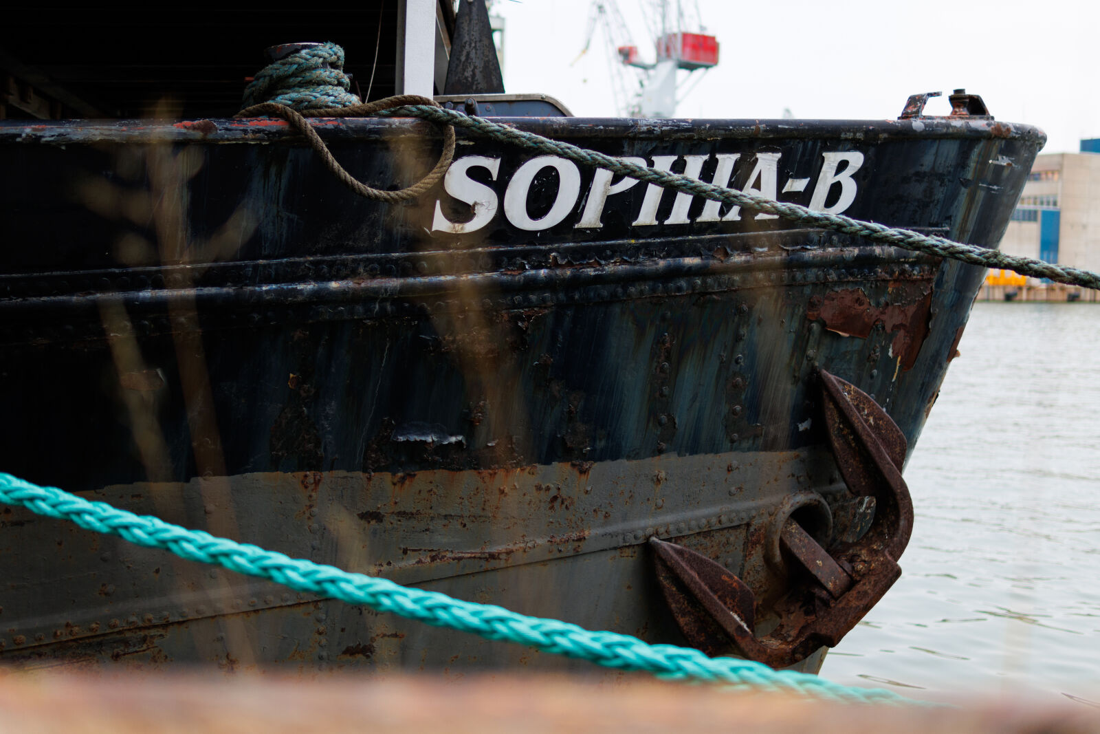 Sigma 30mm F1.4 DC DN | C sample photo. Sophia-b photography