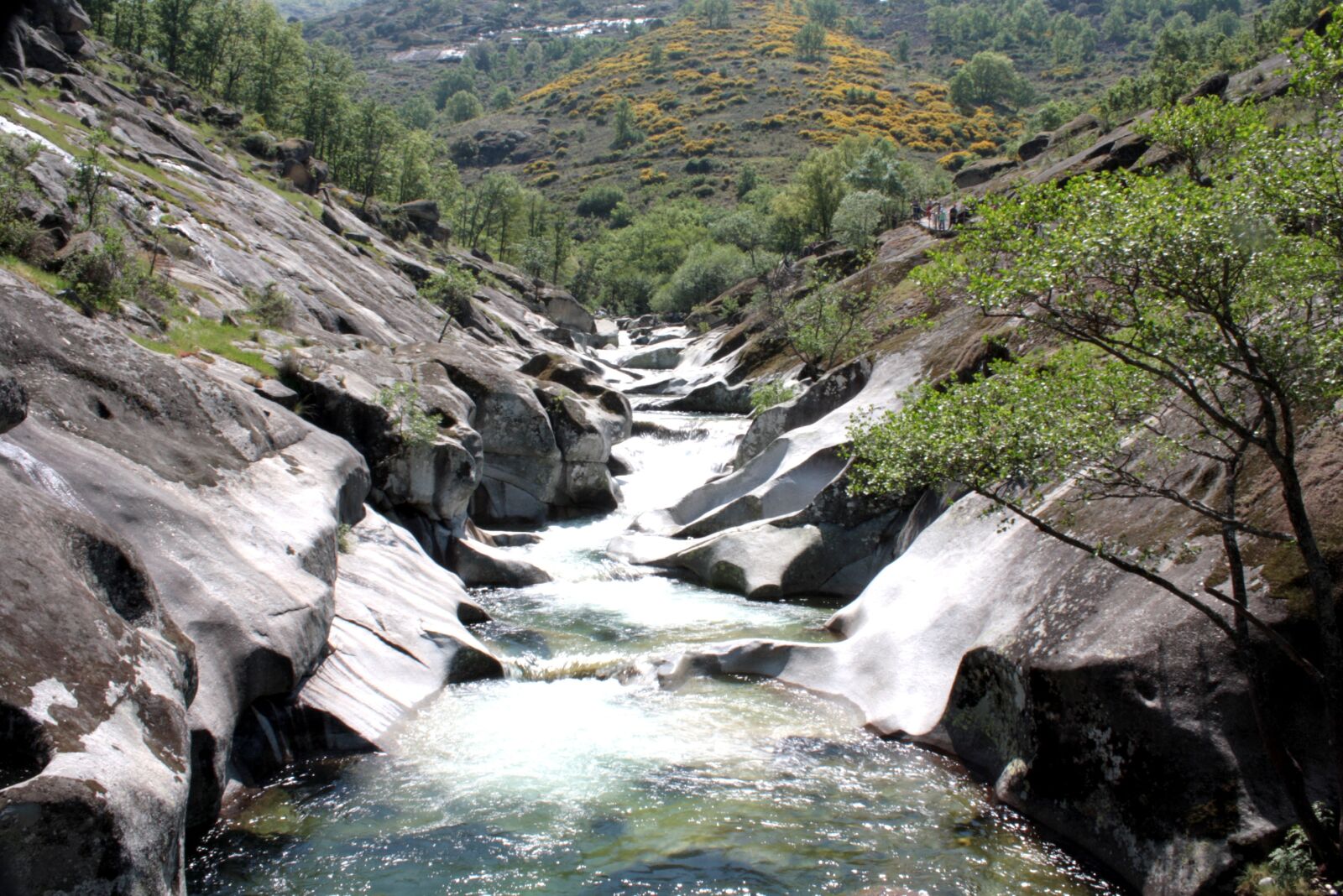 Canon EOS 1000D (EOS Digital Rebel XS / EOS Kiss F) sample photo. Cannon, water, throat photography