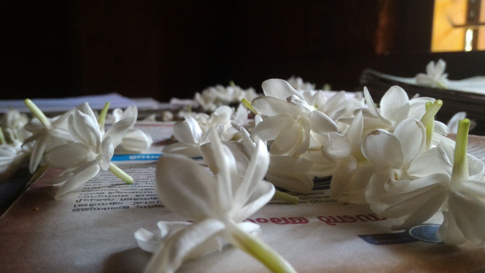 ASUS Z00AD sample photo. Jasmine flowers, nidhin chundambatta photography