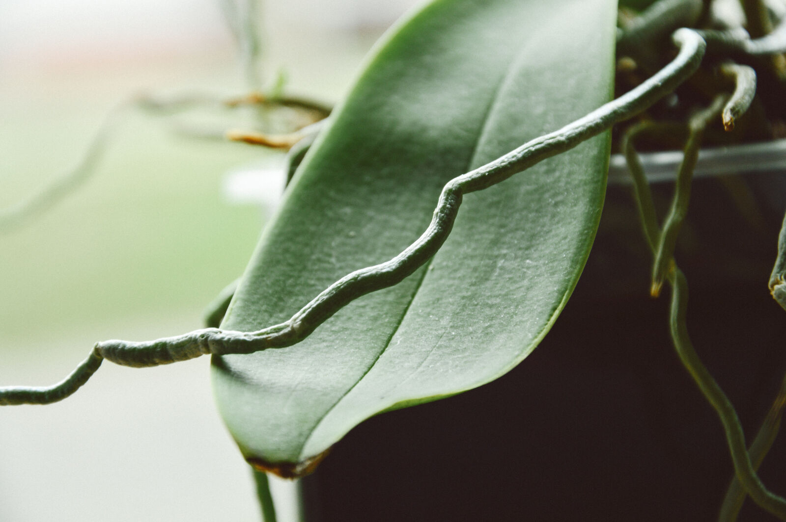 Nikon D3200 sample photo