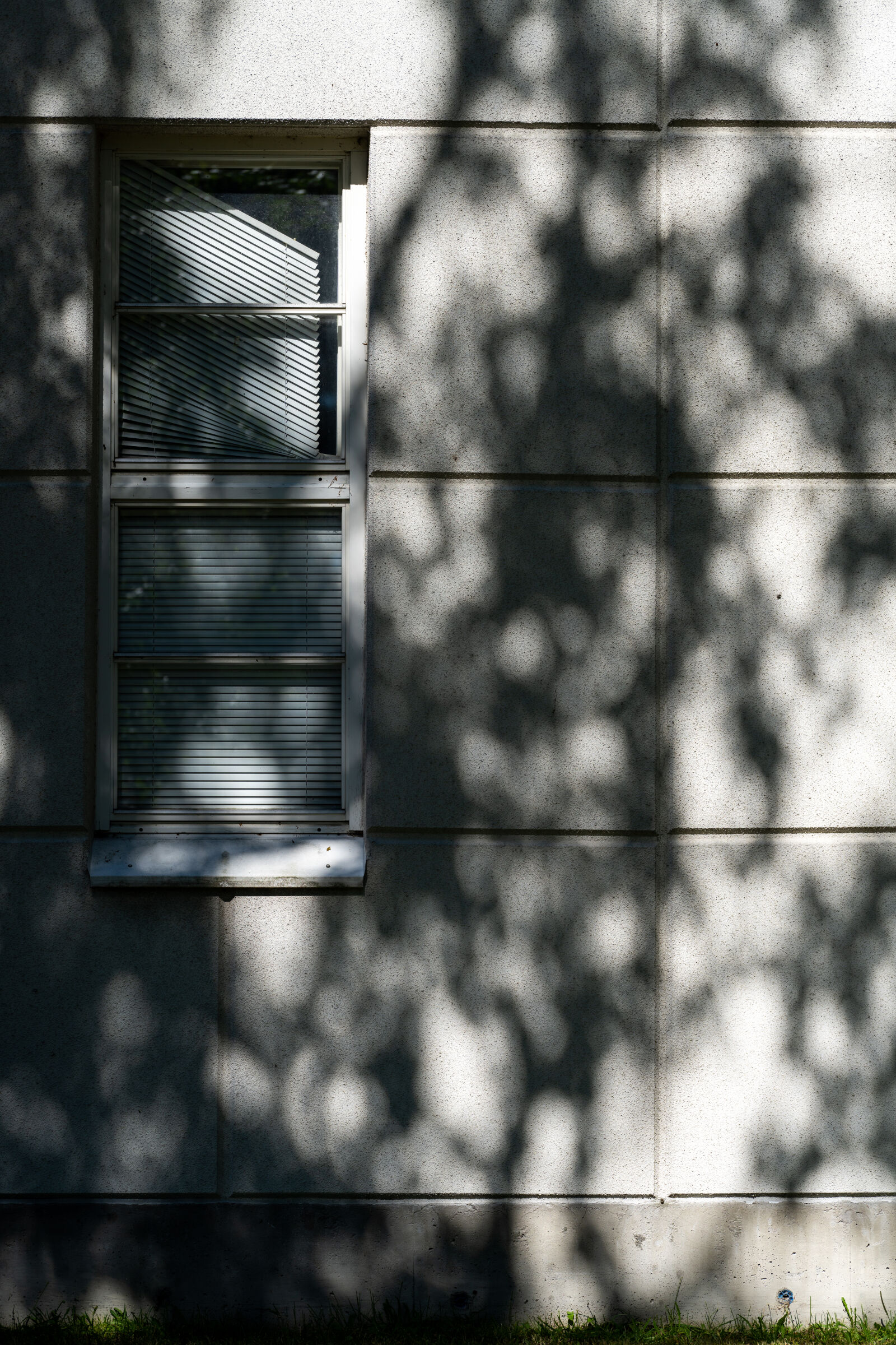 Sony a7R IV sample photo. Window shadows photography