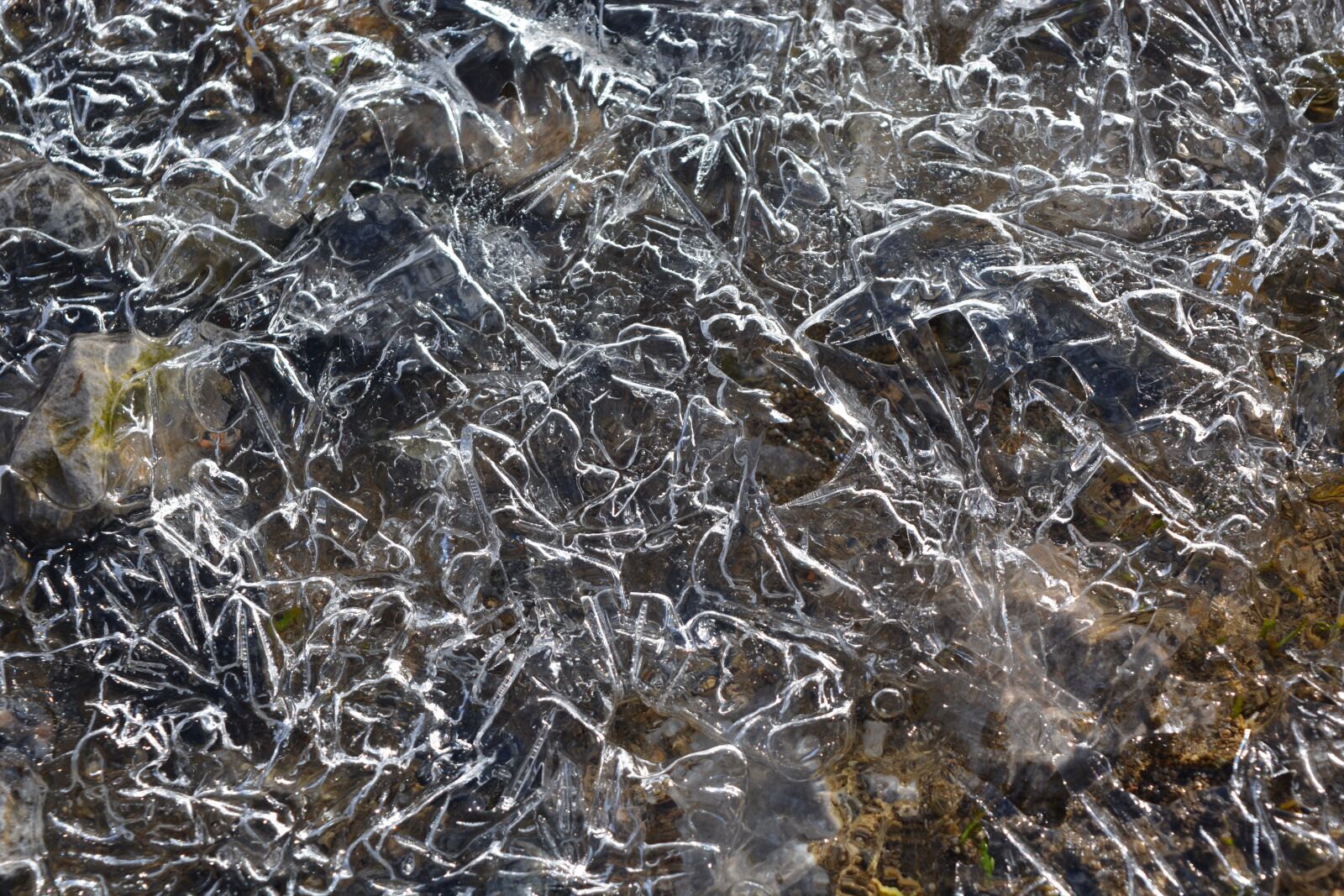 Nikon D5200 sample photo. Frozen, creek, ice photography