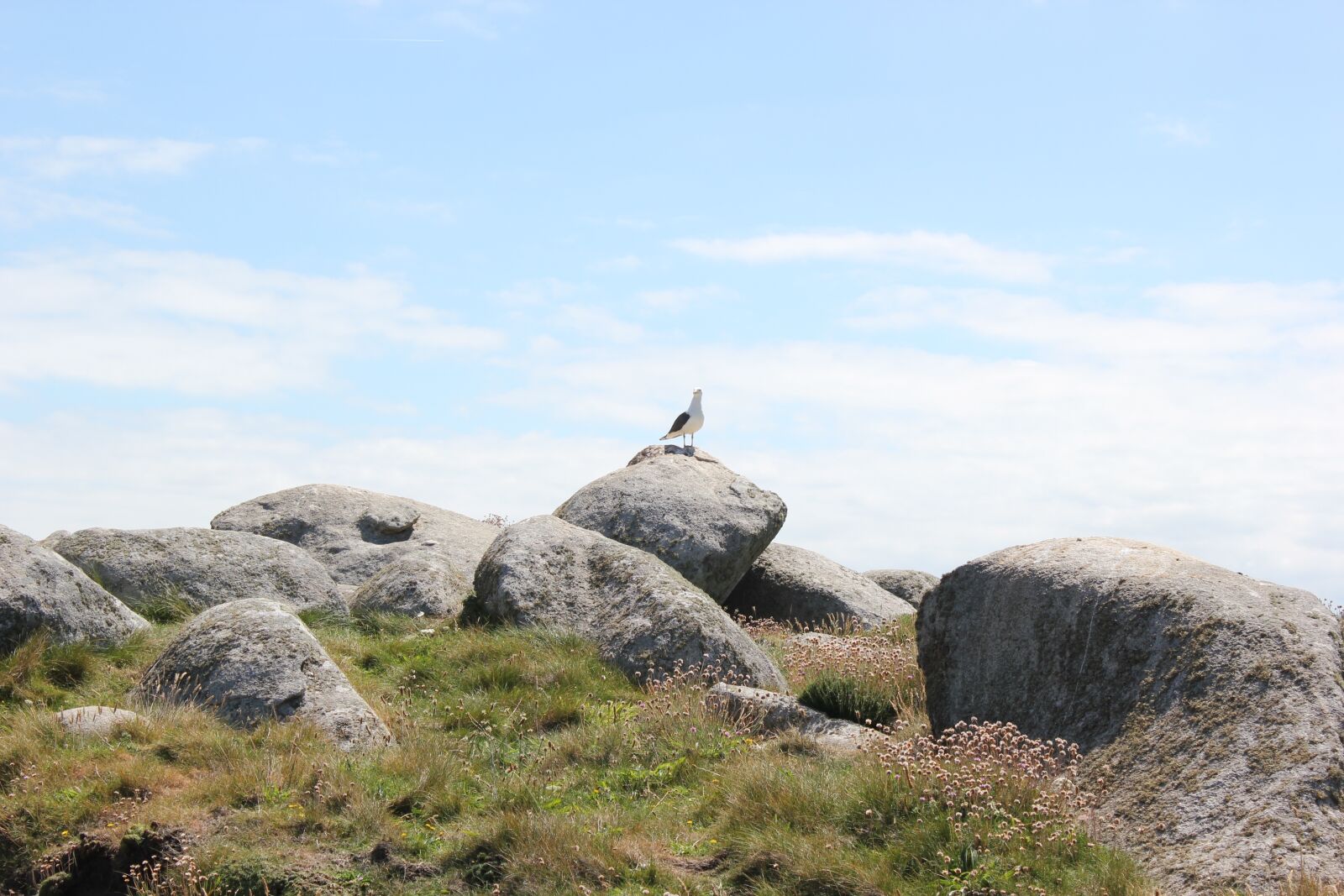 Canon EOS 550D (EOS Rebel T2i / EOS Kiss X4) sample photo. Island, brittany, rocks photography