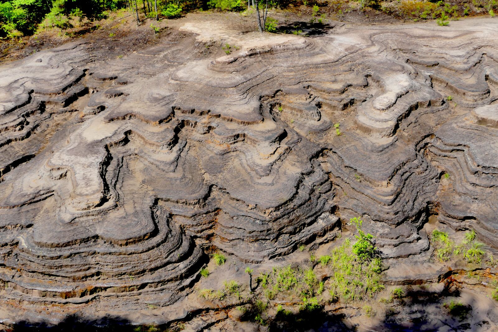 Panasonic Lumix DMC-FZ1000 sample photo. Rock, texture, geology photography