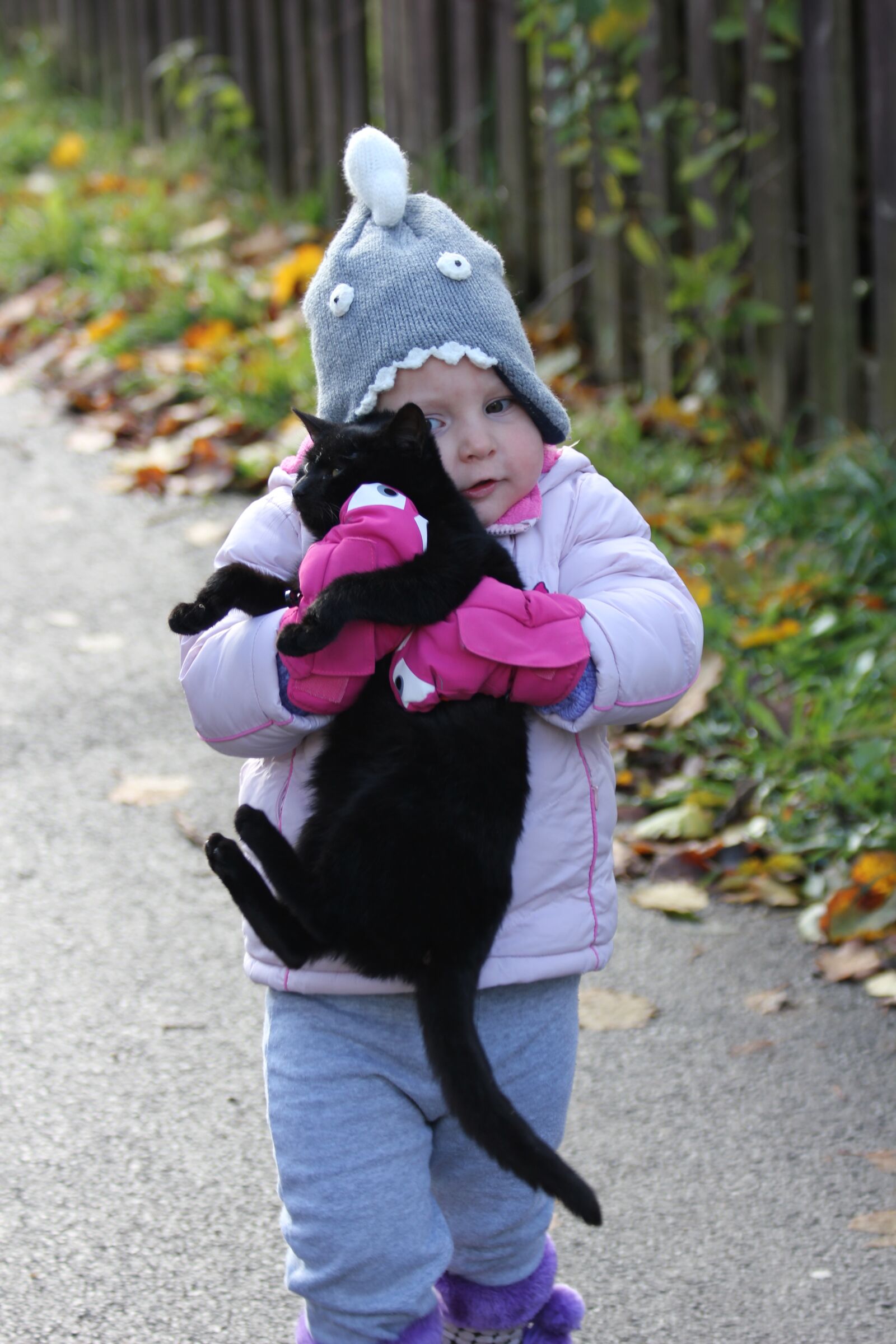 Canon EOS 550D (EOS Rebel T2i / EOS Kiss X4) sample photo. Child, cat, girl photography