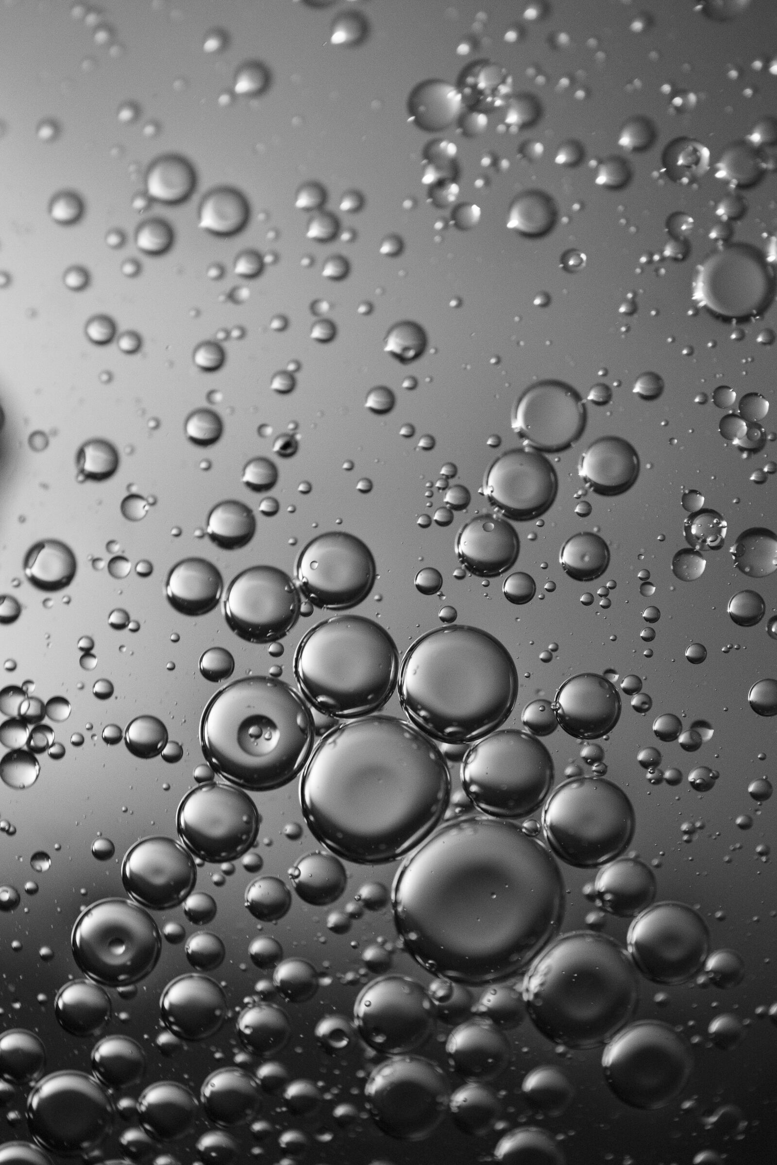 Canon EOS R sample photo. Oil, water, liquid photography