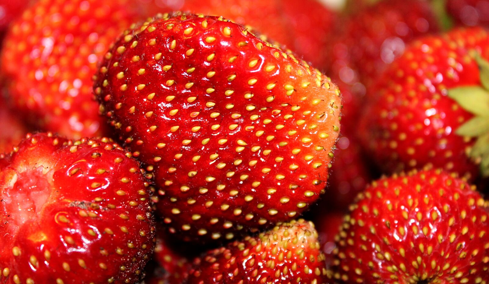 Canon EOS 1100D (EOS Rebel T3 / EOS Kiss X50) sample photo. Strawberry, seeds, berry photography