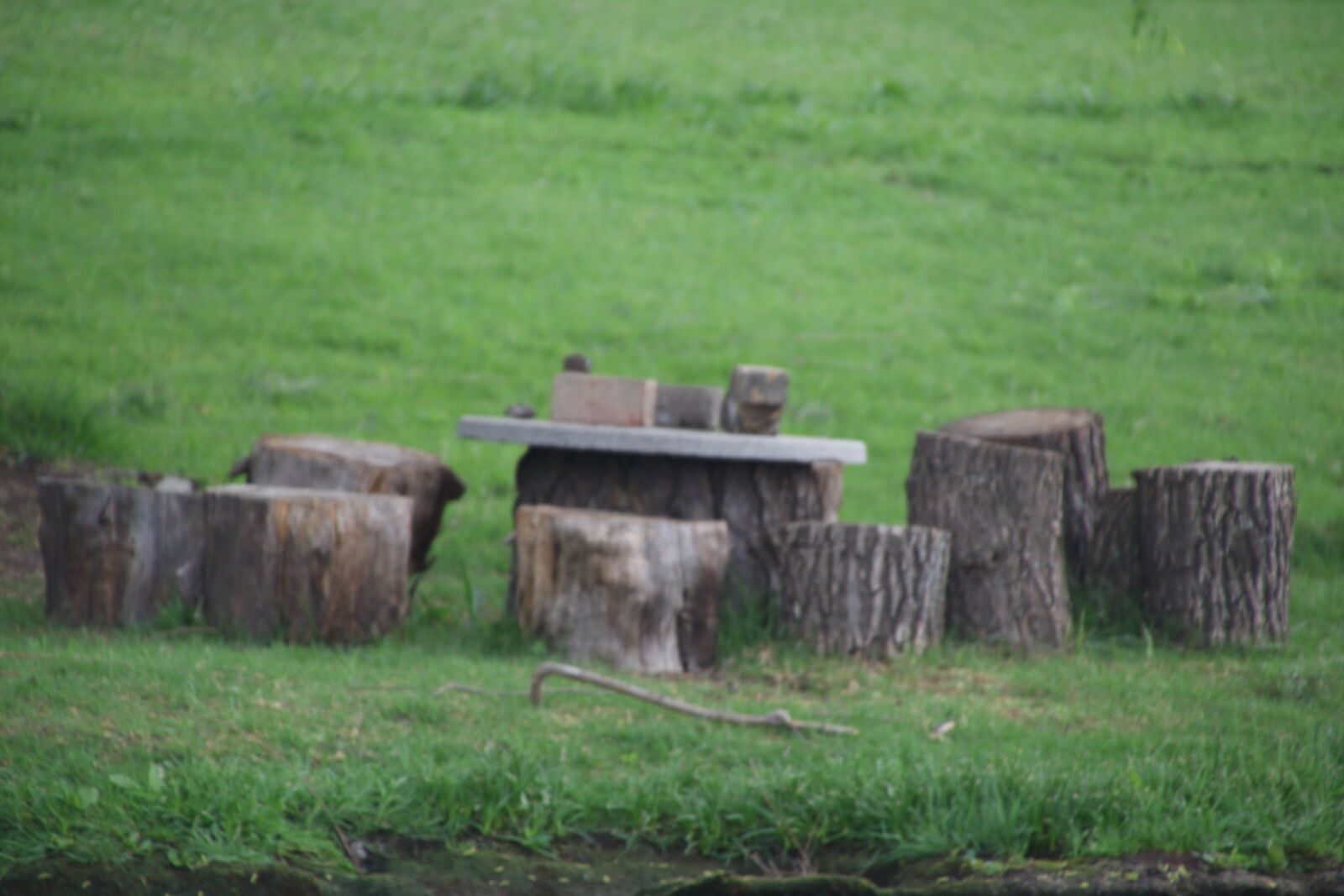 Canon EOS 7D Mark II sample photo. Braai, chairs, garden, grass photography