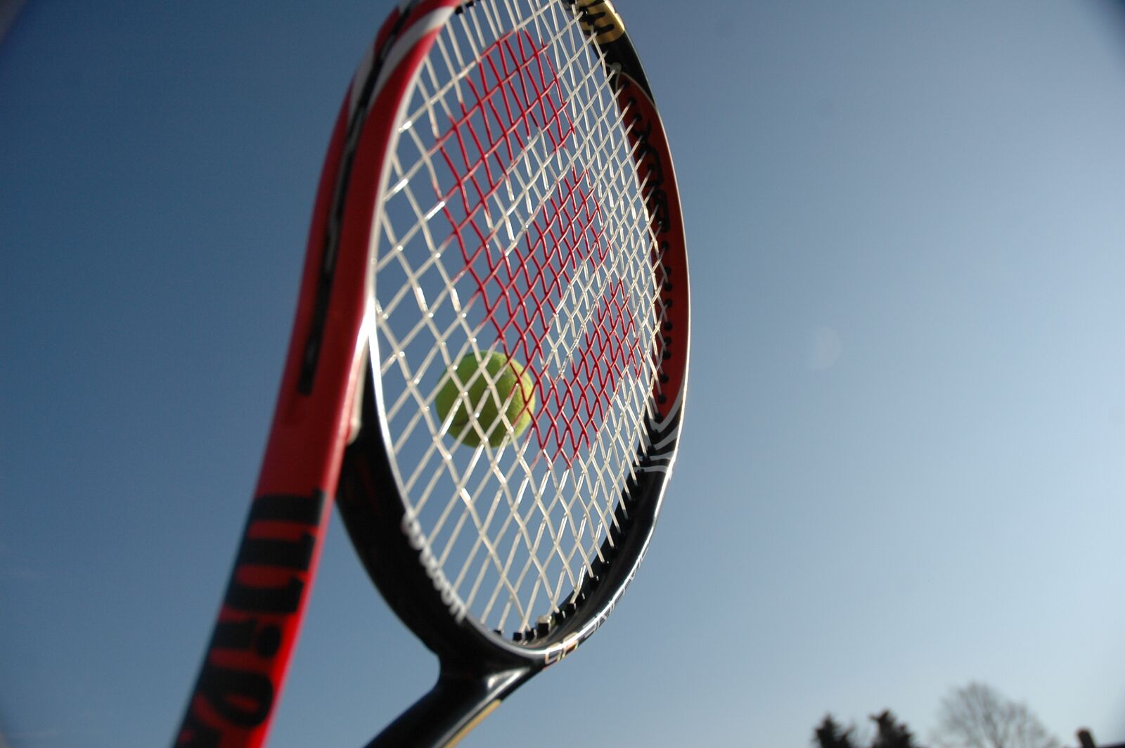 Nikon D70 sample photo. Wilson, tennis racket, jonathan photography