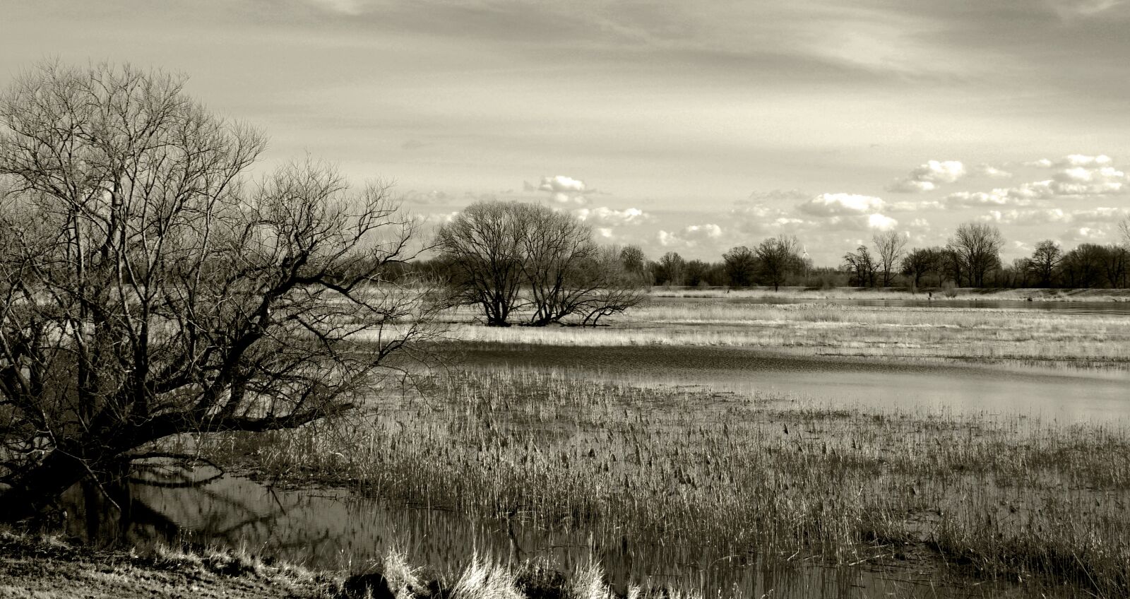 Pentax K-x sample photo. River, nature, bank photography