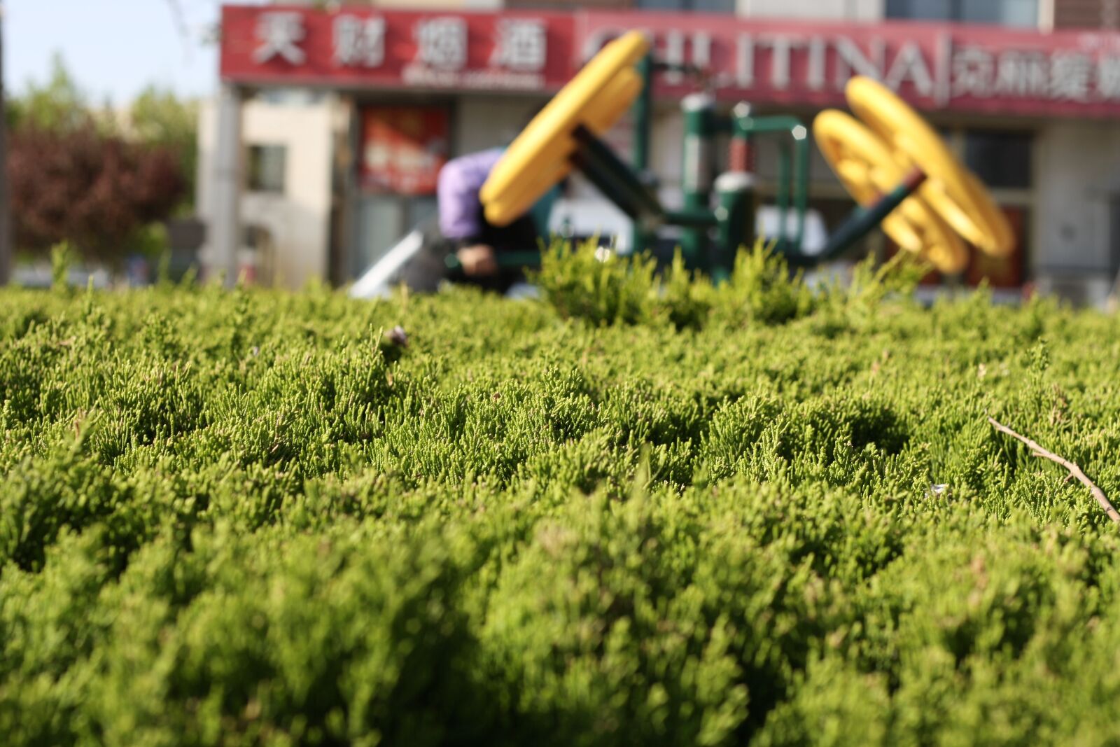 Canon EOS 1000D (EOS Digital Rebel XS / EOS Kiss F) sample photo. Man, exercise, outdoors photography