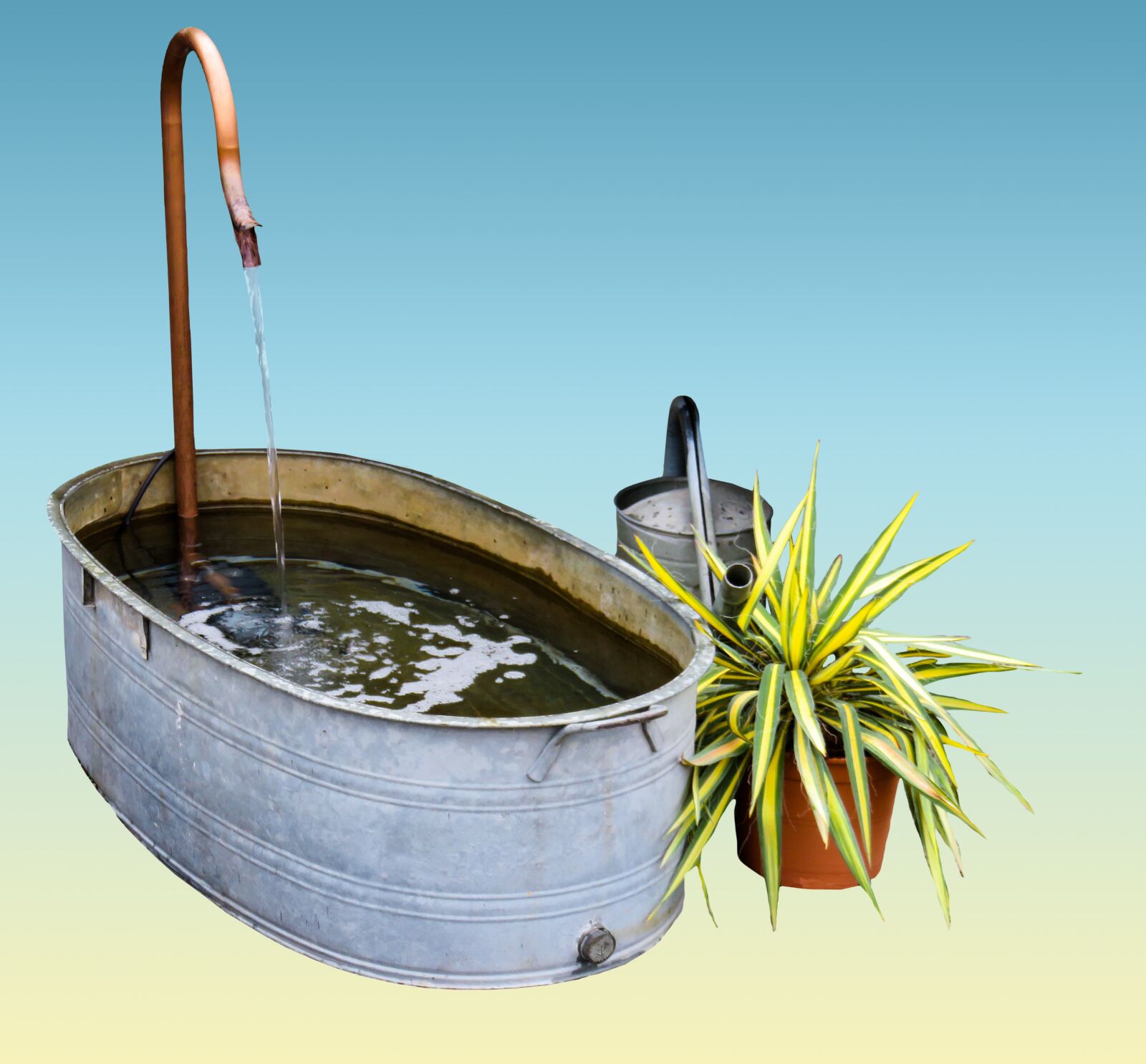 Canon PowerShot SX710 HS sample photo. Garden, bath, watering can photography