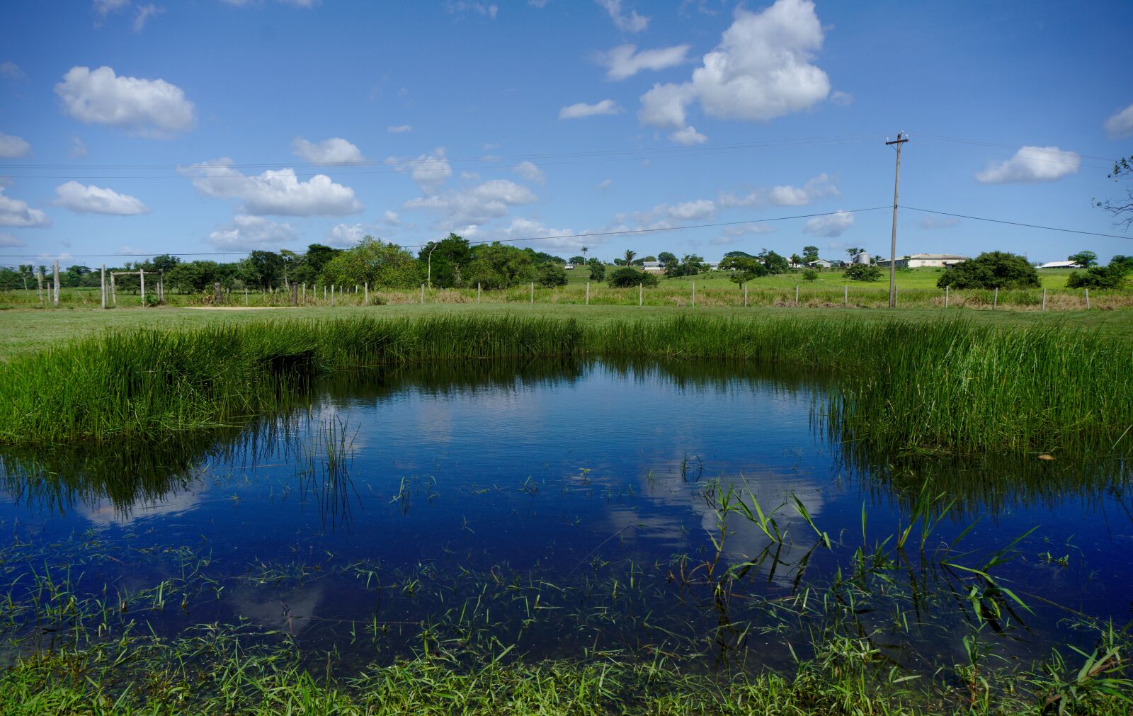 Sony E 16-50mm F3.5-5.6 PZ OSS sample photo. Pond, water, reflection photography