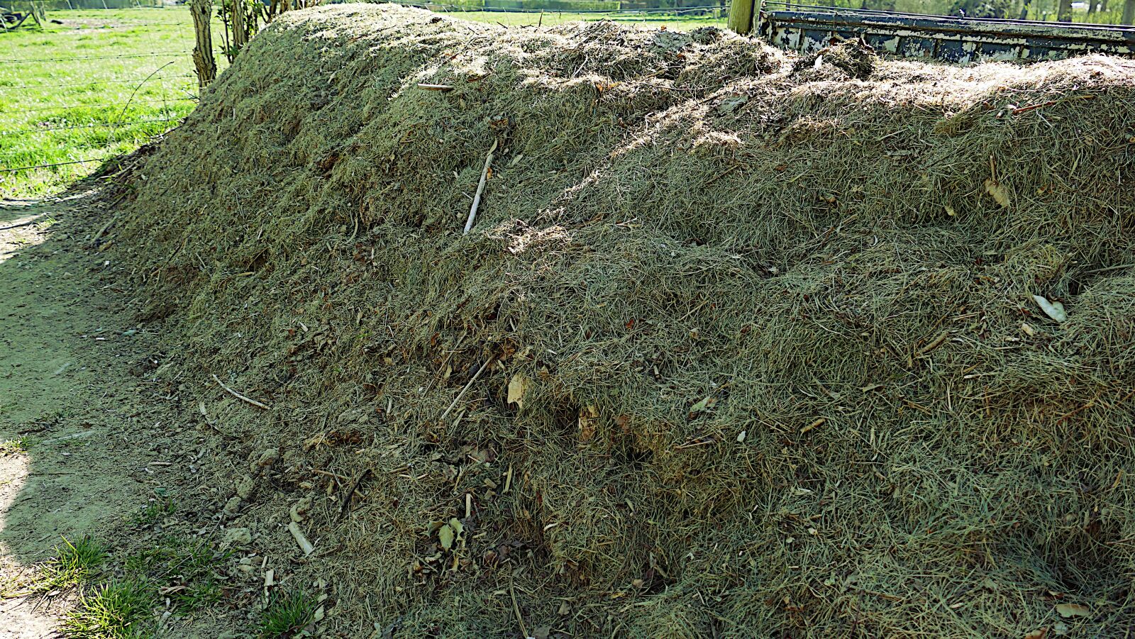 Panasonic Lumix DMC-FZ1000 sample photo. Compost, composting, waste photography