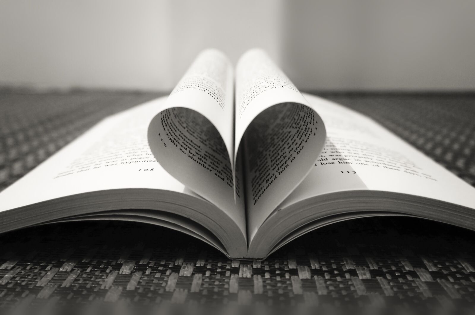 Sony Alpha NEX-5T sample photo. Book pages, pages with photography