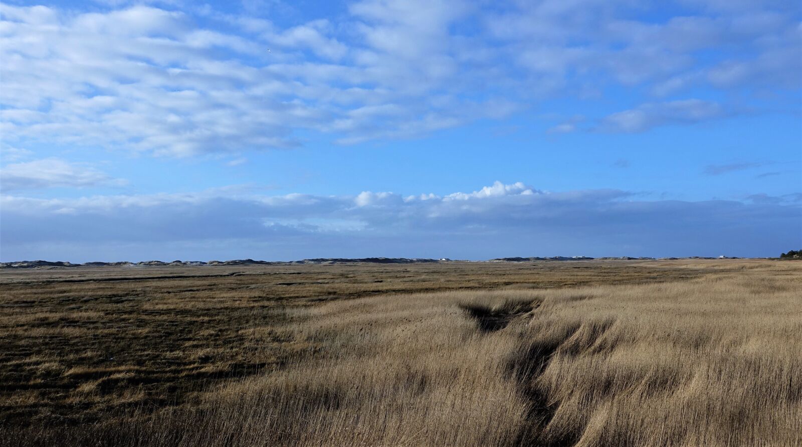 Sony Cyber-shot DSC-RX10 III sample photo. Spo, north sea, rest photography