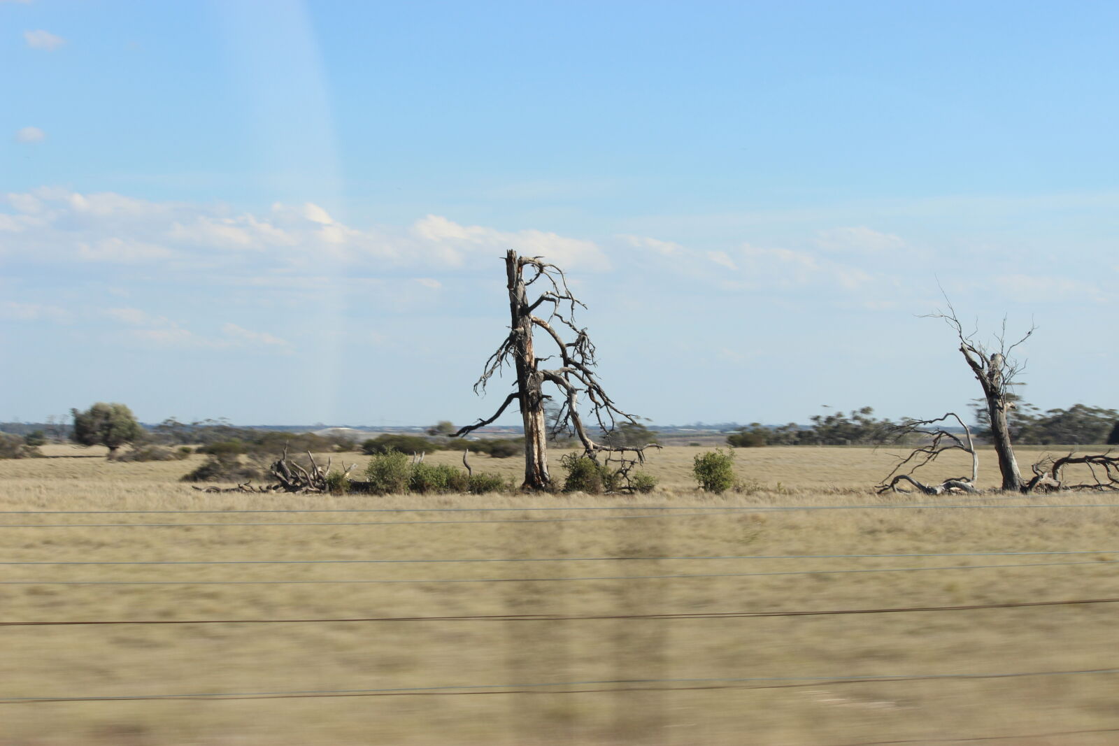 Canon EOS 600D (Rebel EOS T3i / EOS Kiss X5) sample photo. Branches, car, center, clouds photography