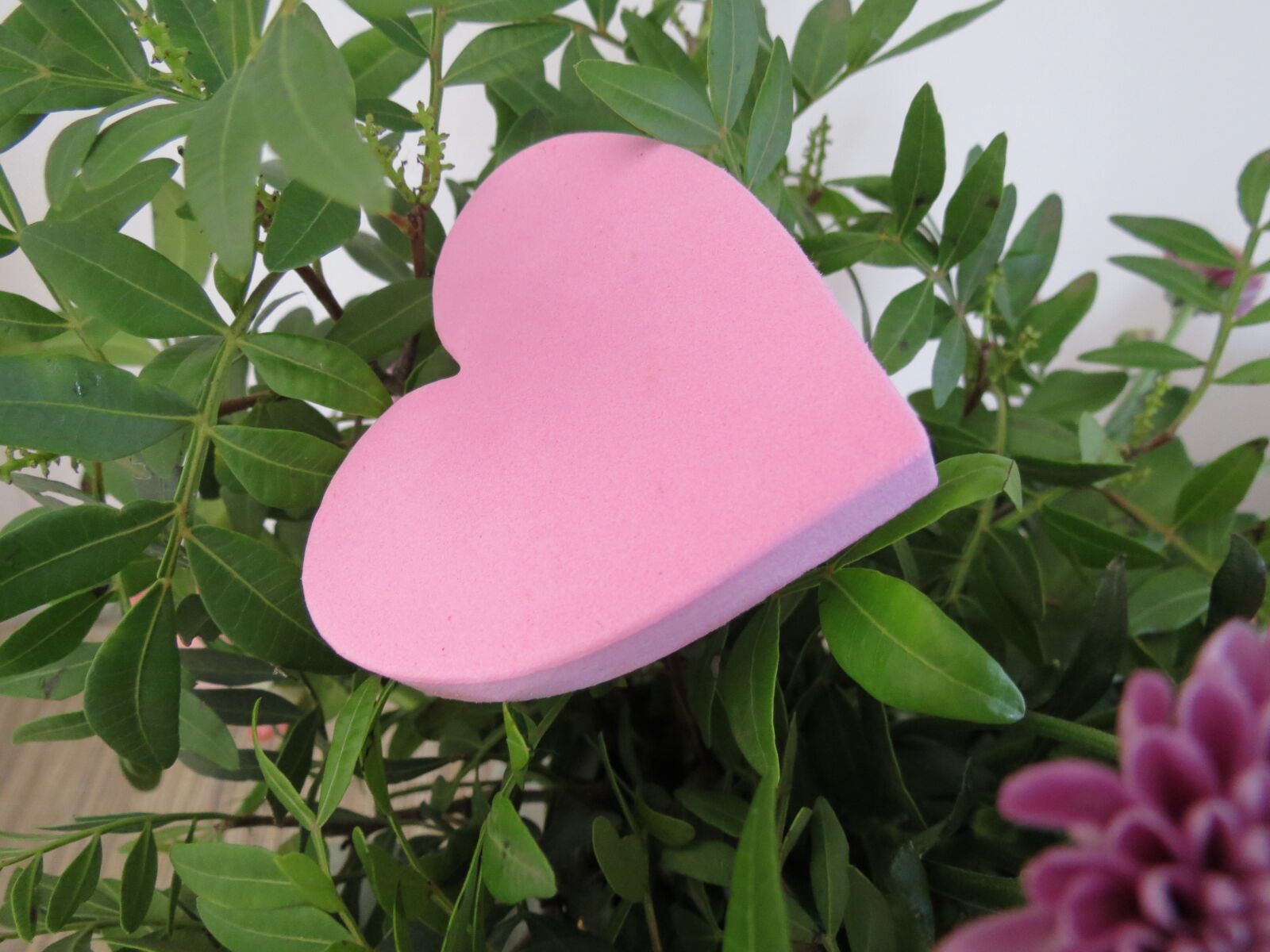 Canon PowerShot SX40 HS sample photo. Heart, mother's day, flower photography