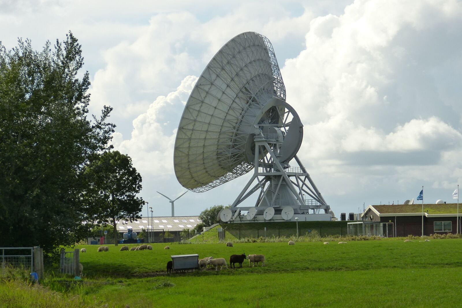 Panasonic Lumix DMC-FZ150 sample photo. Landscape, holland, radio bowl photography