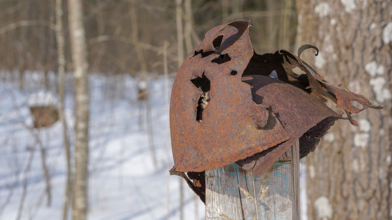 E 50mm F1.8 OSS sample photo. War, helmet, winter photography