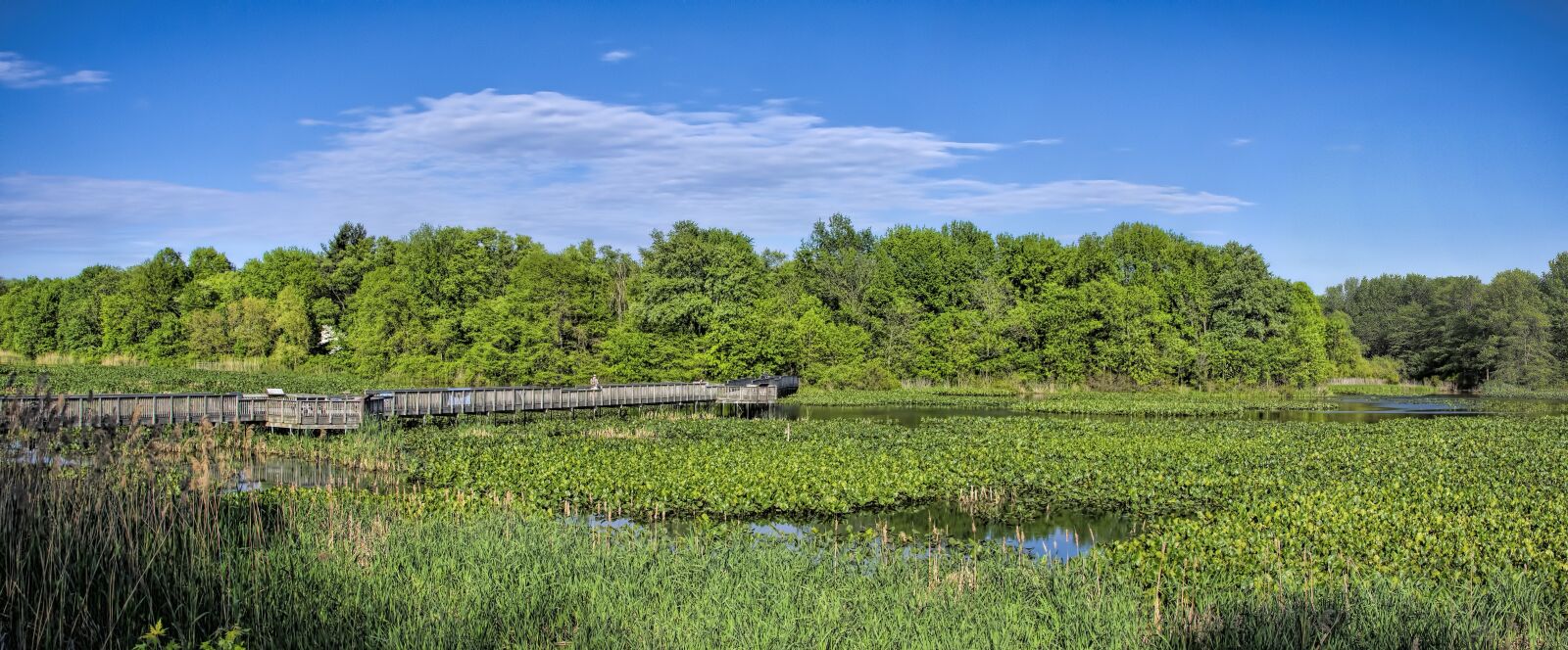 Nikon D7200 sample photo. Heinz wildlife refuge, park photography