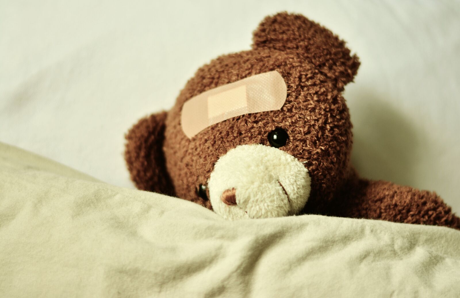 Nikon D5200 sample photo. Teddy, teddy bear, ill photography