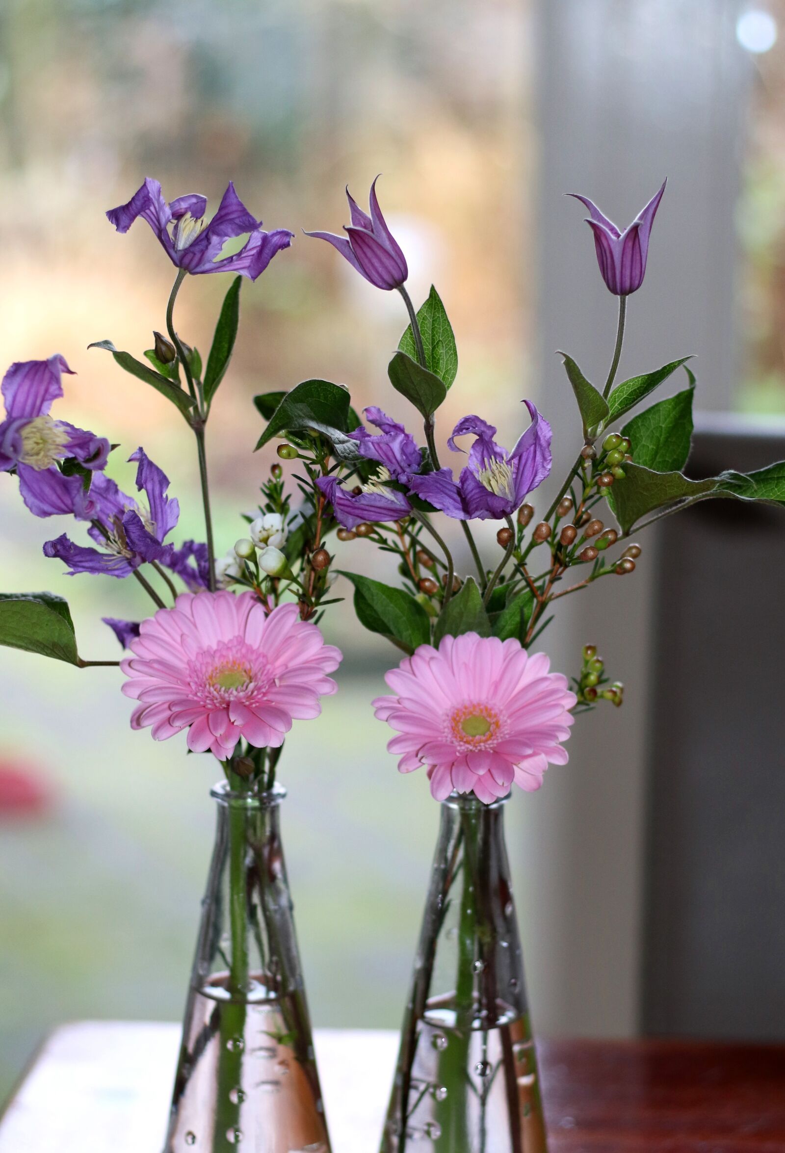 Canon EOS 7D Mark II sample photo. Tafelstukjes, against light, gerbera photography
