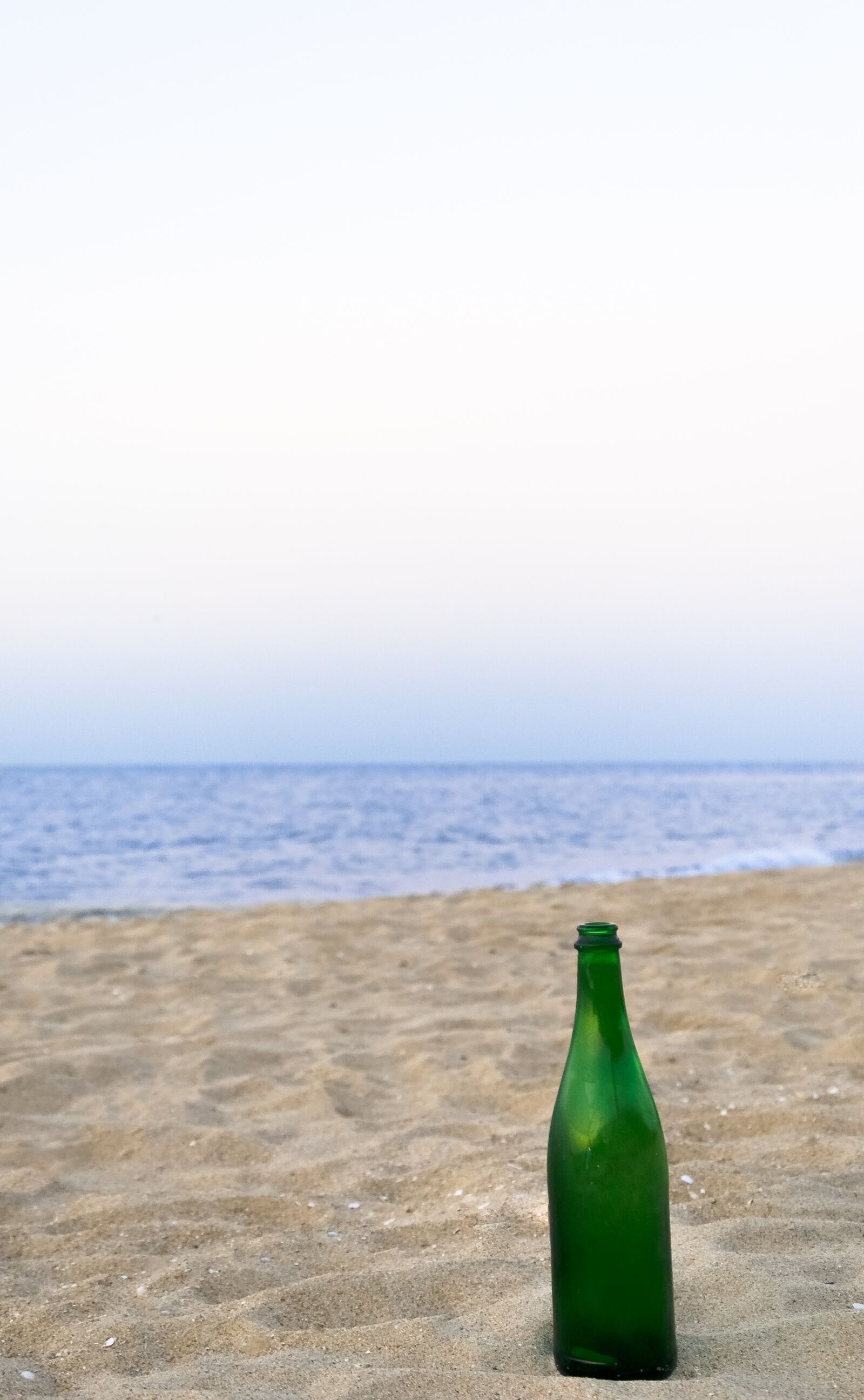 Nikon D300 sample photo. Sea, bottle, summer photography