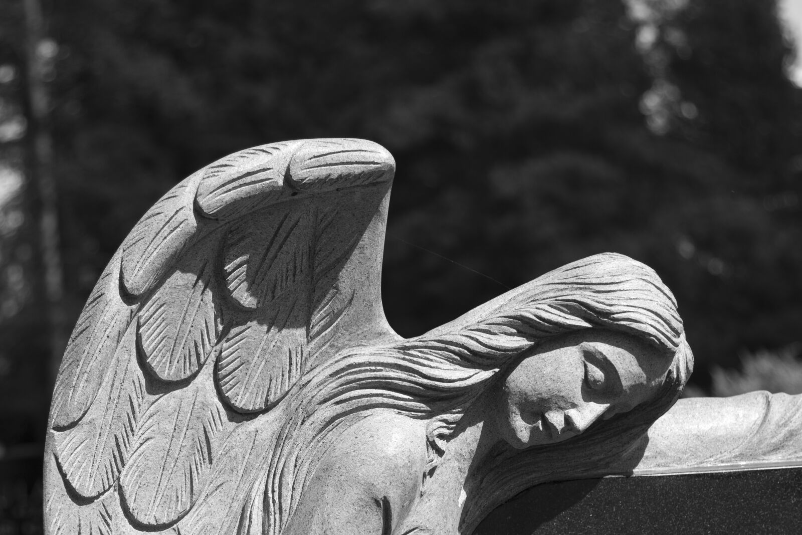 Canon EOS 70D + Canon EF 24-105mm F4L IS USM sample photo. Grayscale, cemetery, statue photography