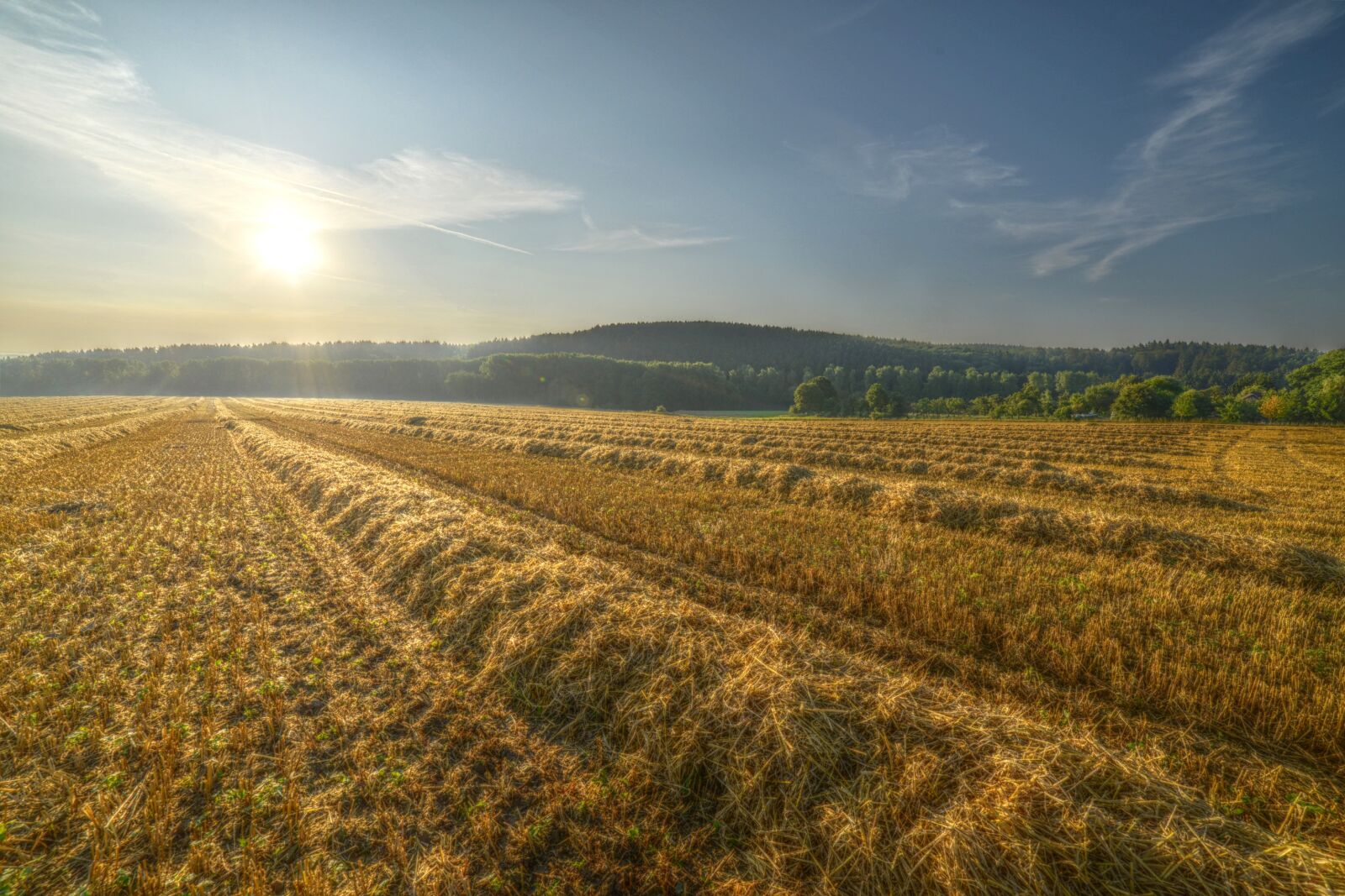 Nikon D600 sample photo. Field, sun, landscape photography