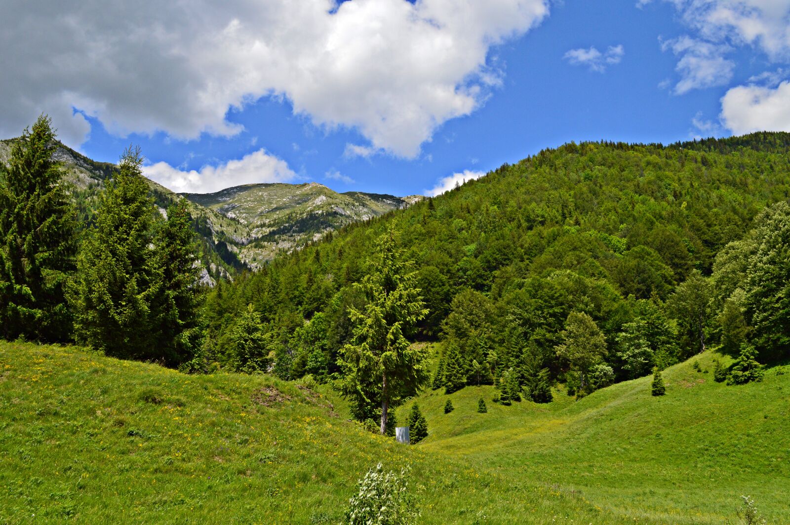 Nikon D3200 sample photo. Mountain, romania, woods photography