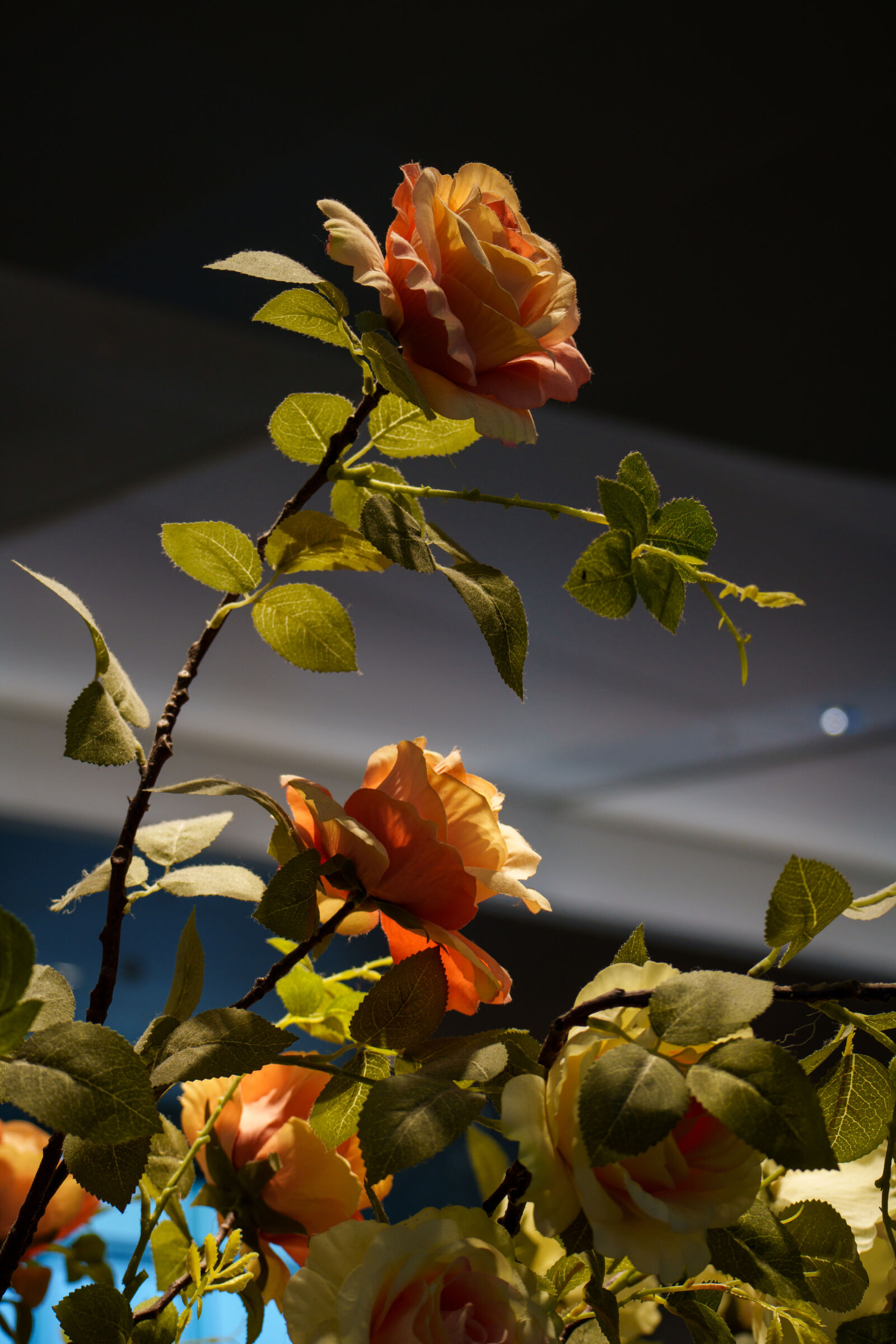Sony a7R V sample photo. Faux flower photography