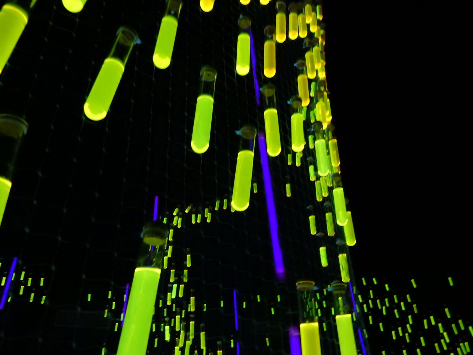 Nikon Coolpix S9900 sample photo. Art, fluorescent, green, light photography