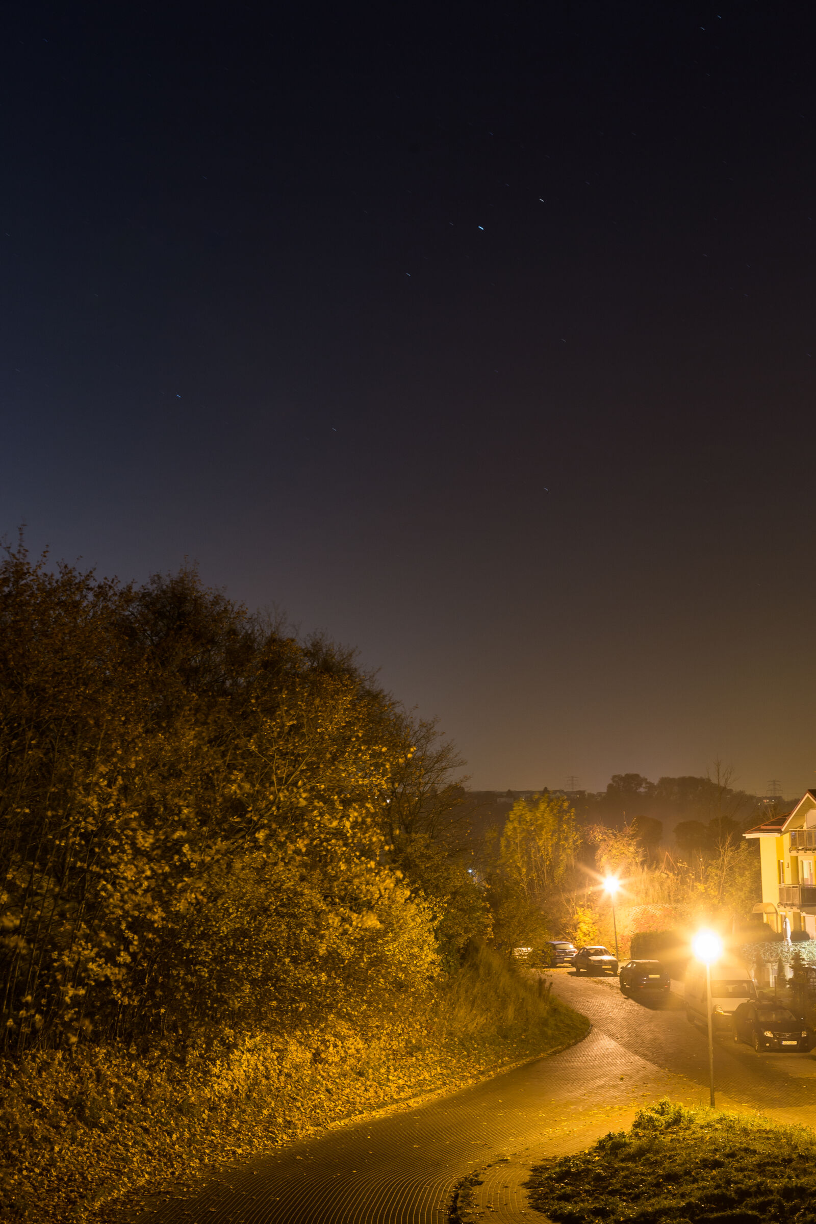 Canon EOS 6D + Canon EF 50mm F1.4 USM sample photo. City, cold, light, nature photography