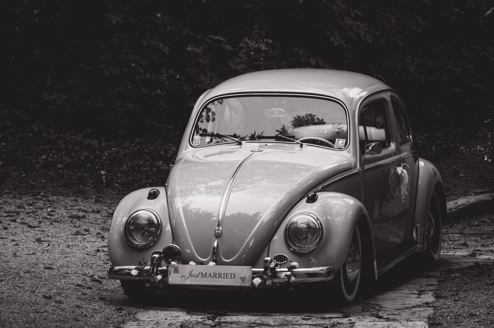 Nikon D90 sample photo. Car, beetle, black and photography