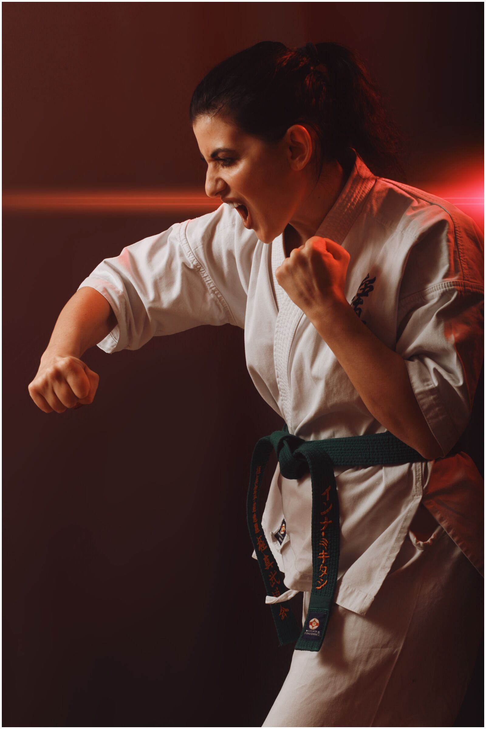 Canon EOS 5D Mark II sample photo. Karate, sport, kick photography