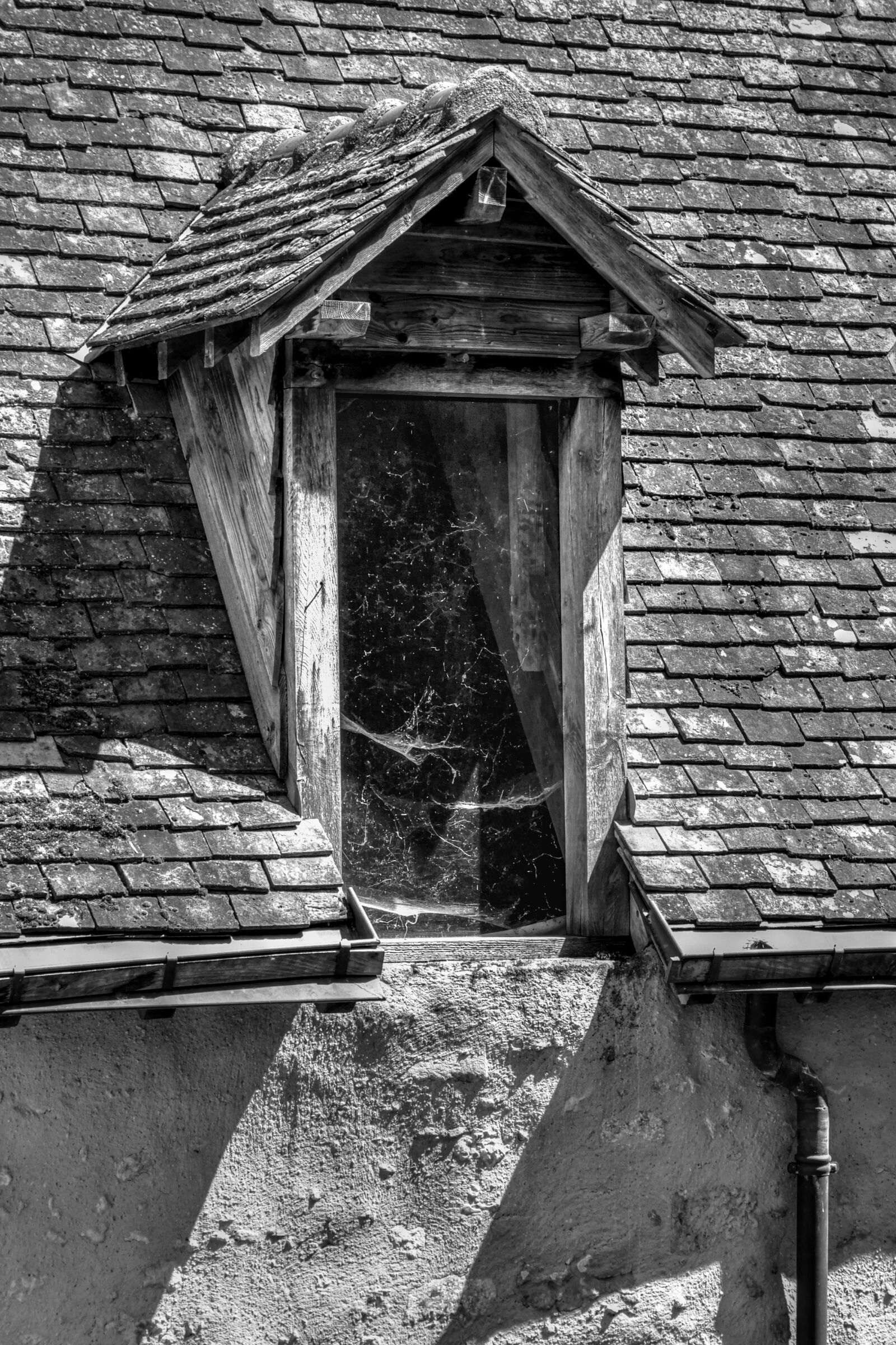 Nikon D500 sample photo. Skylight, window, roof photography