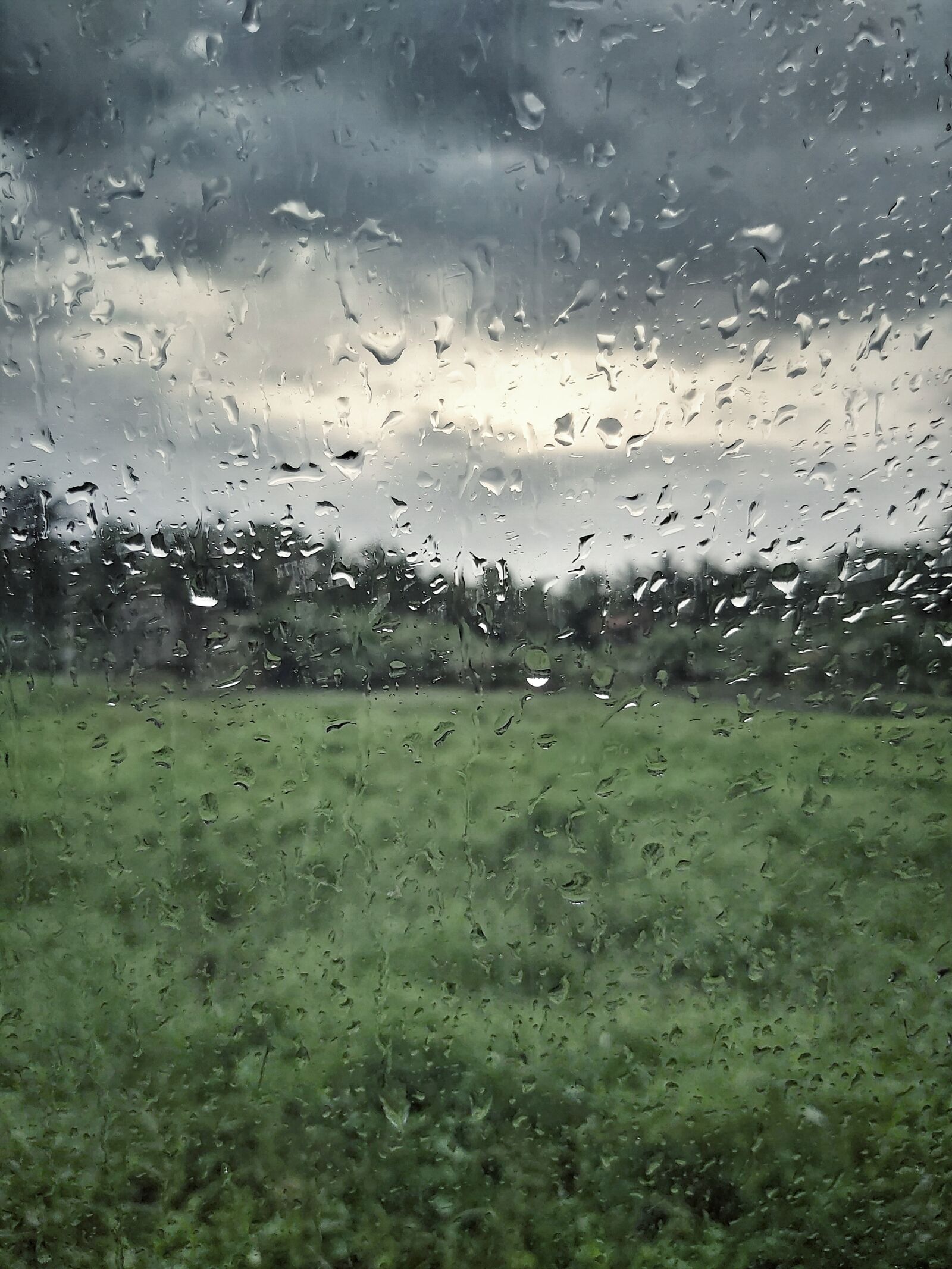 Samsung Galaxy A70 sample photo. Rain, feel, rainy photography