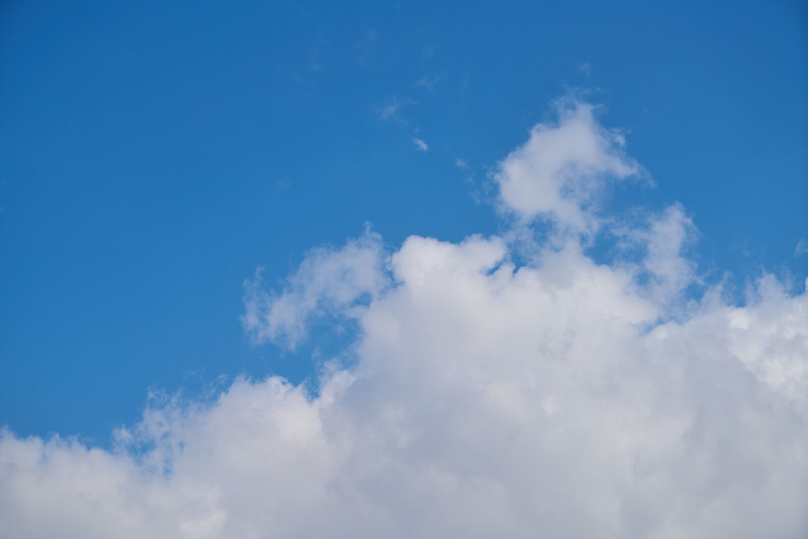 Sony a7R II sample photo. Sky, cloud, blue photography