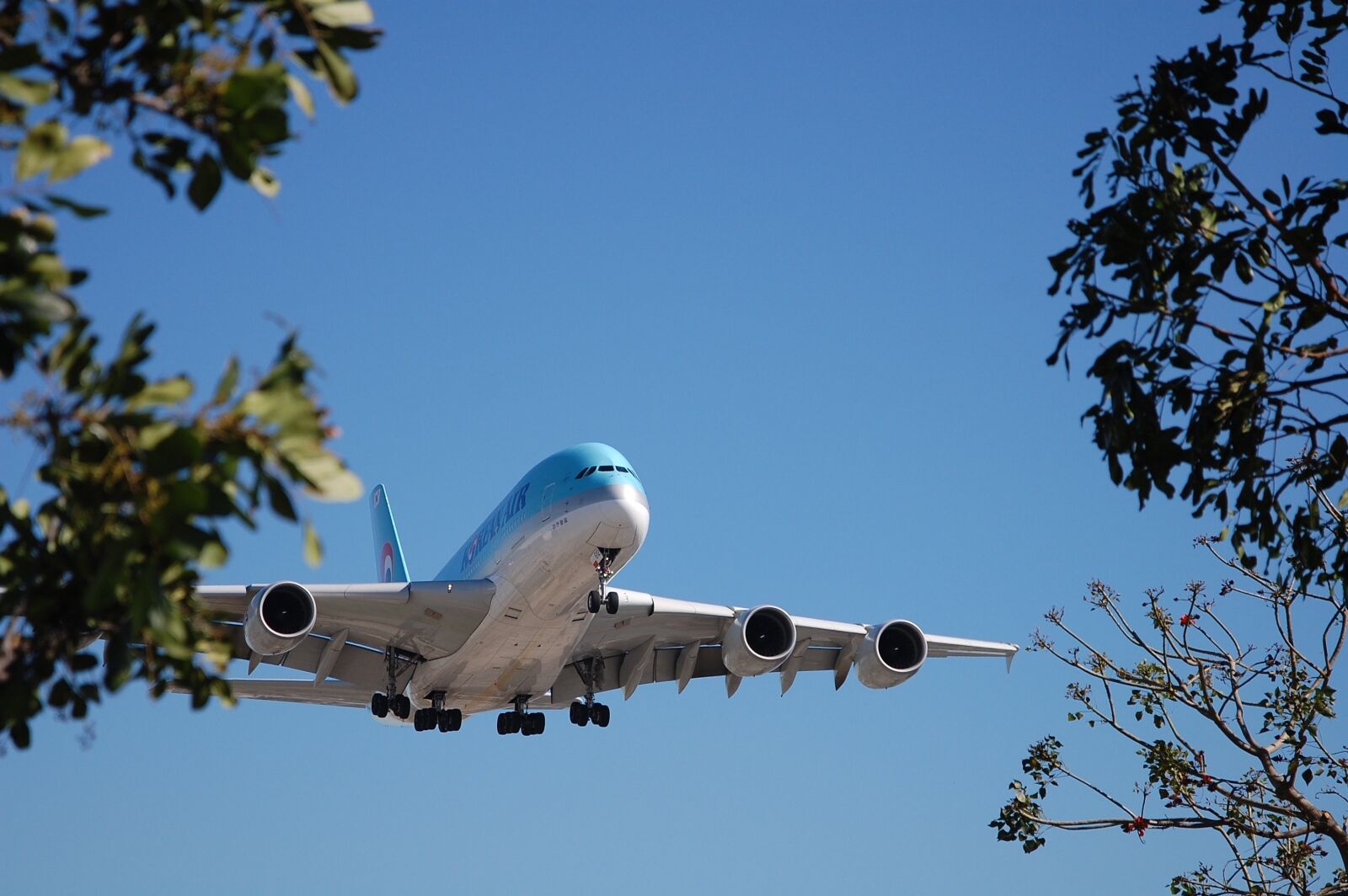 Nikon D40 sample photo. Plane, landing, air photography