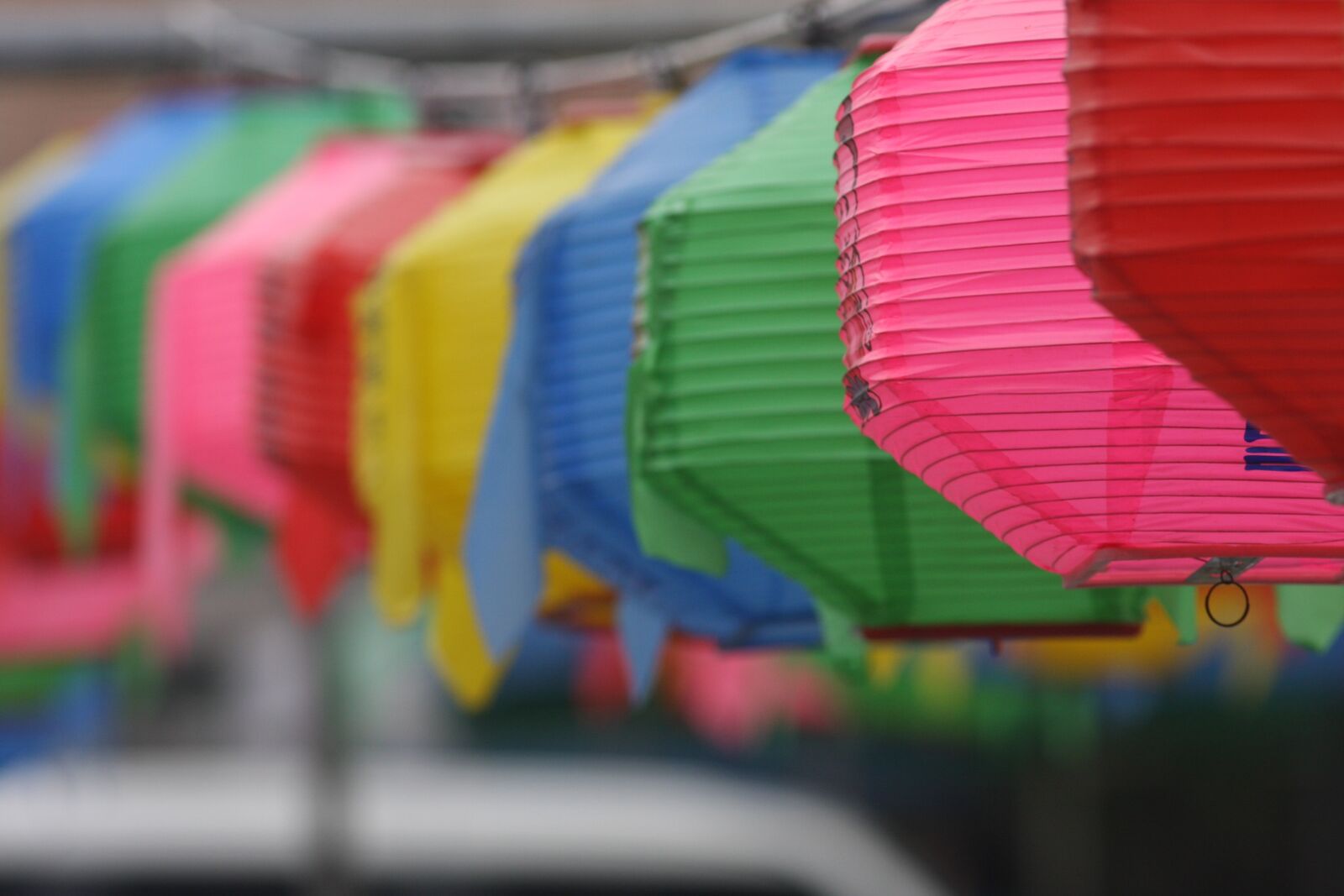 Canon EOS 40D sample photo. Buddha's birthday, buddhism, republic photography