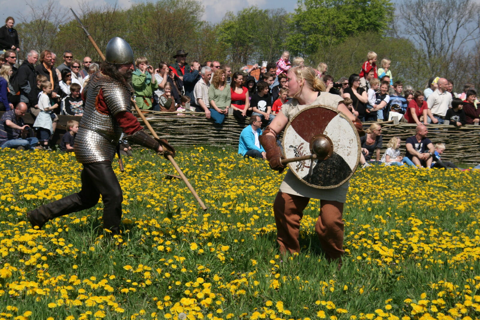 Sigma 18-200mm f/3.5-6.3 DC OS sample photo. Vikings photography
