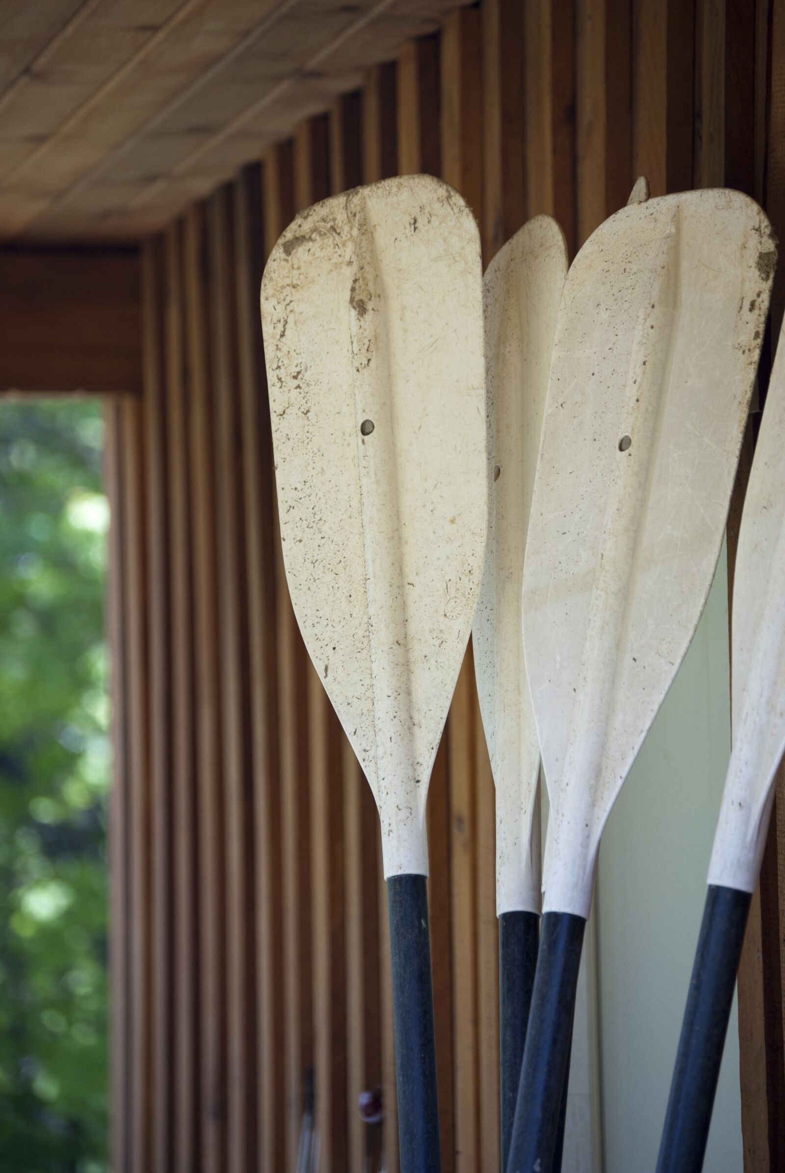 Nikon D40X sample photo. Oars, canoe, paddle photography