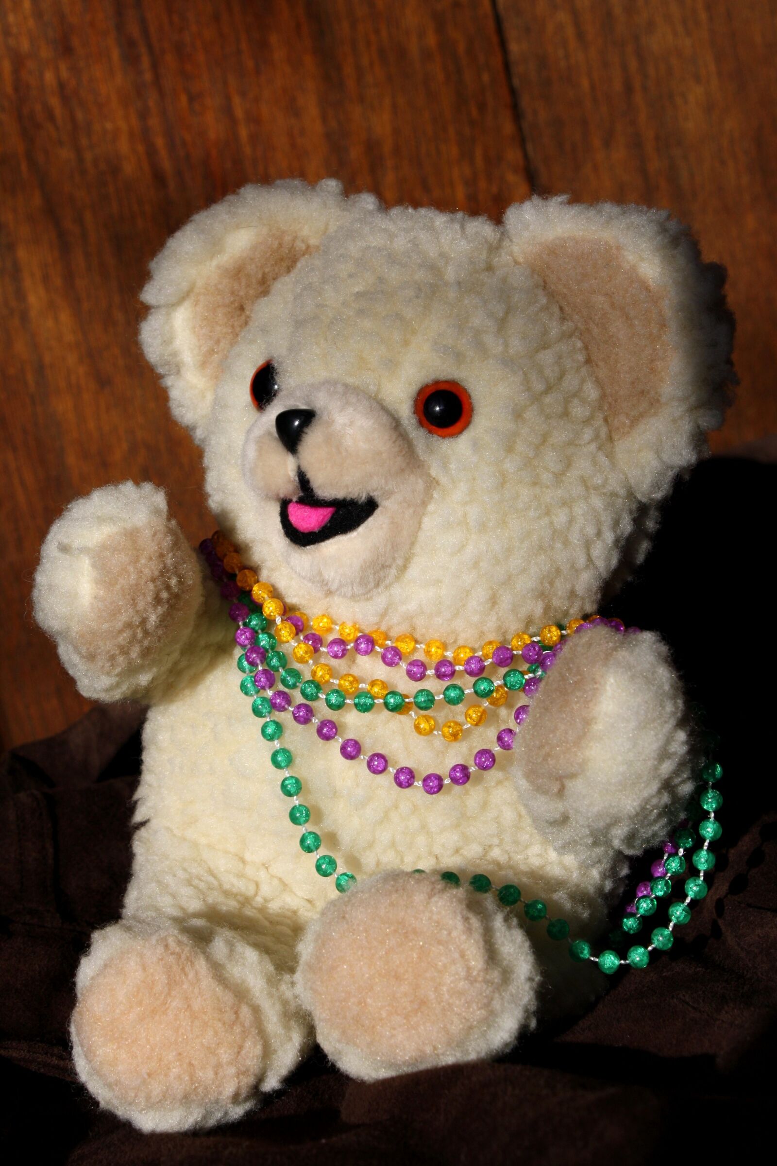 Canon EOS 1000D (EOS Digital Rebel XS / EOS Kiss F) sample photo. Teddy bear, toy, mardi photography